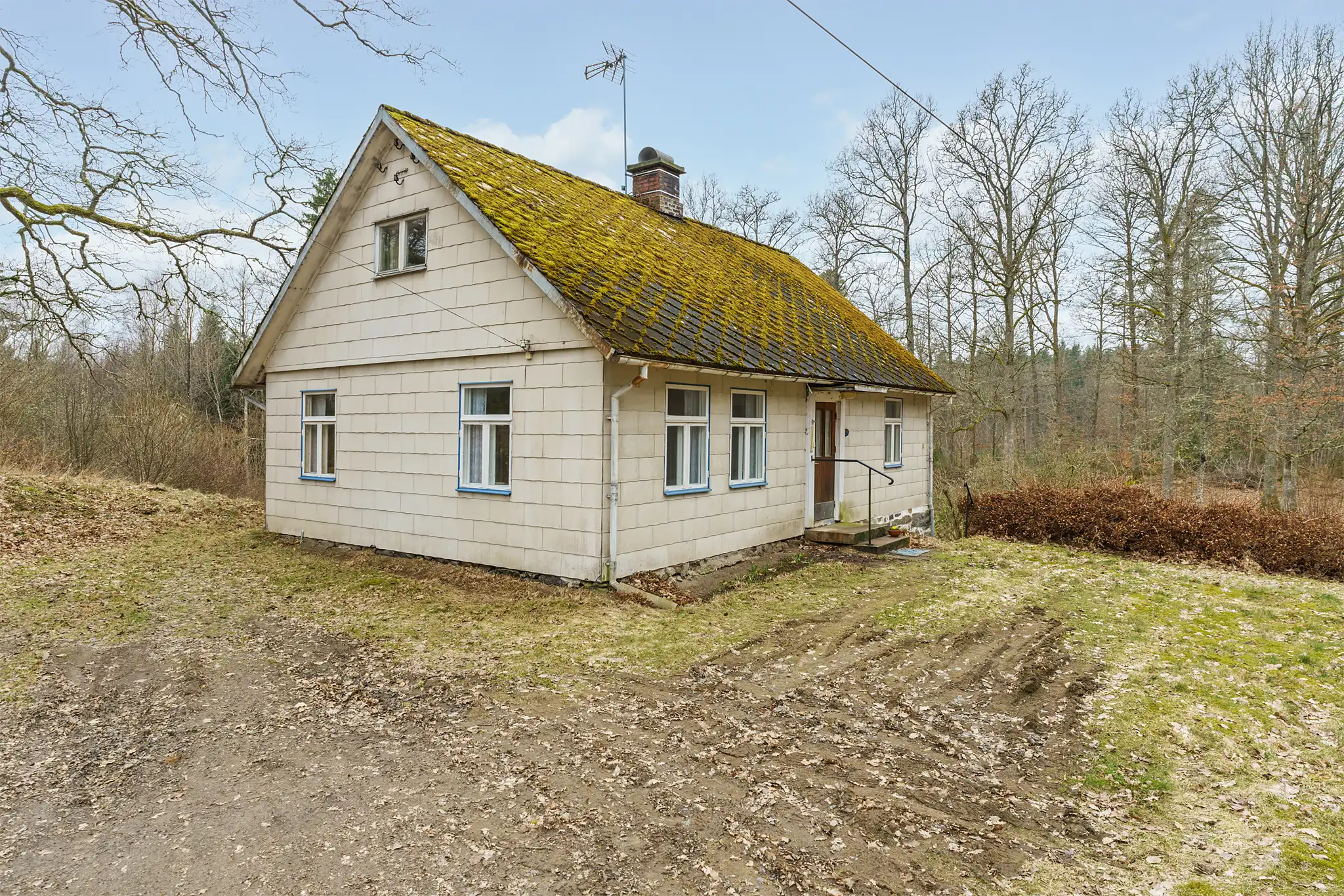 Häggeryda1001A,Glimåkra-20032024-001