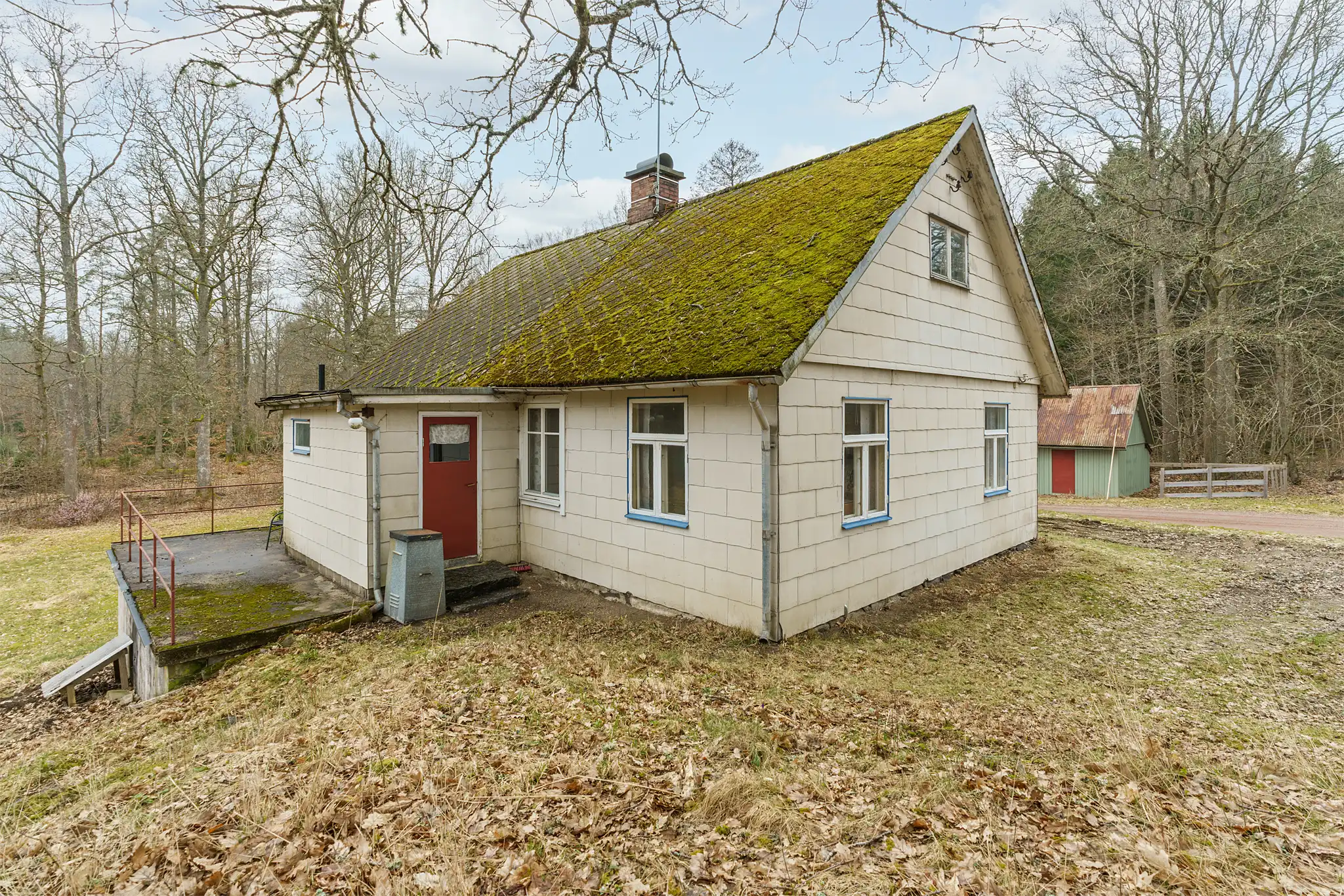 Häggeryda1001A,Glimåkra-20032024-006 5