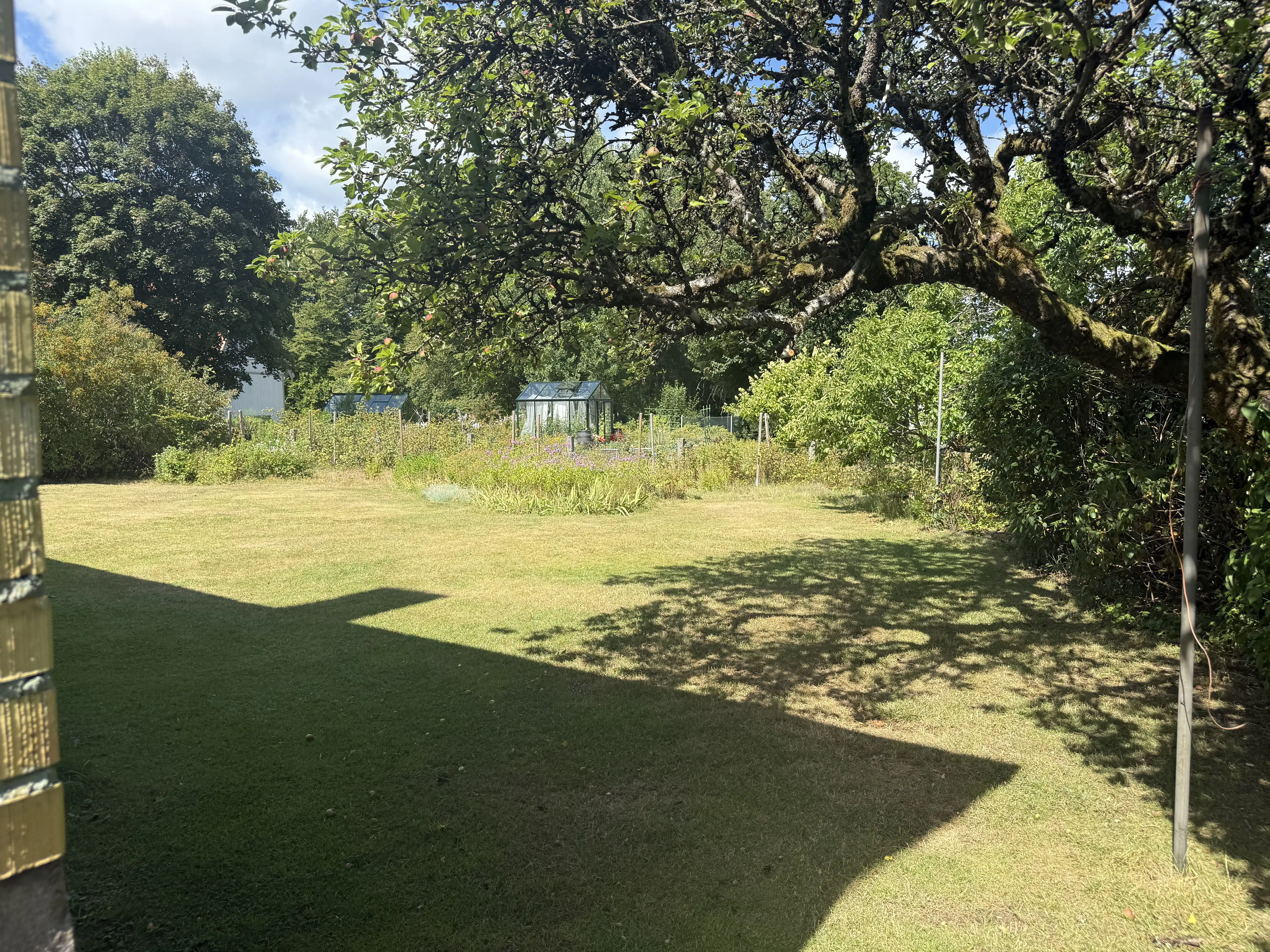 IMG_4599.jpeg 1
