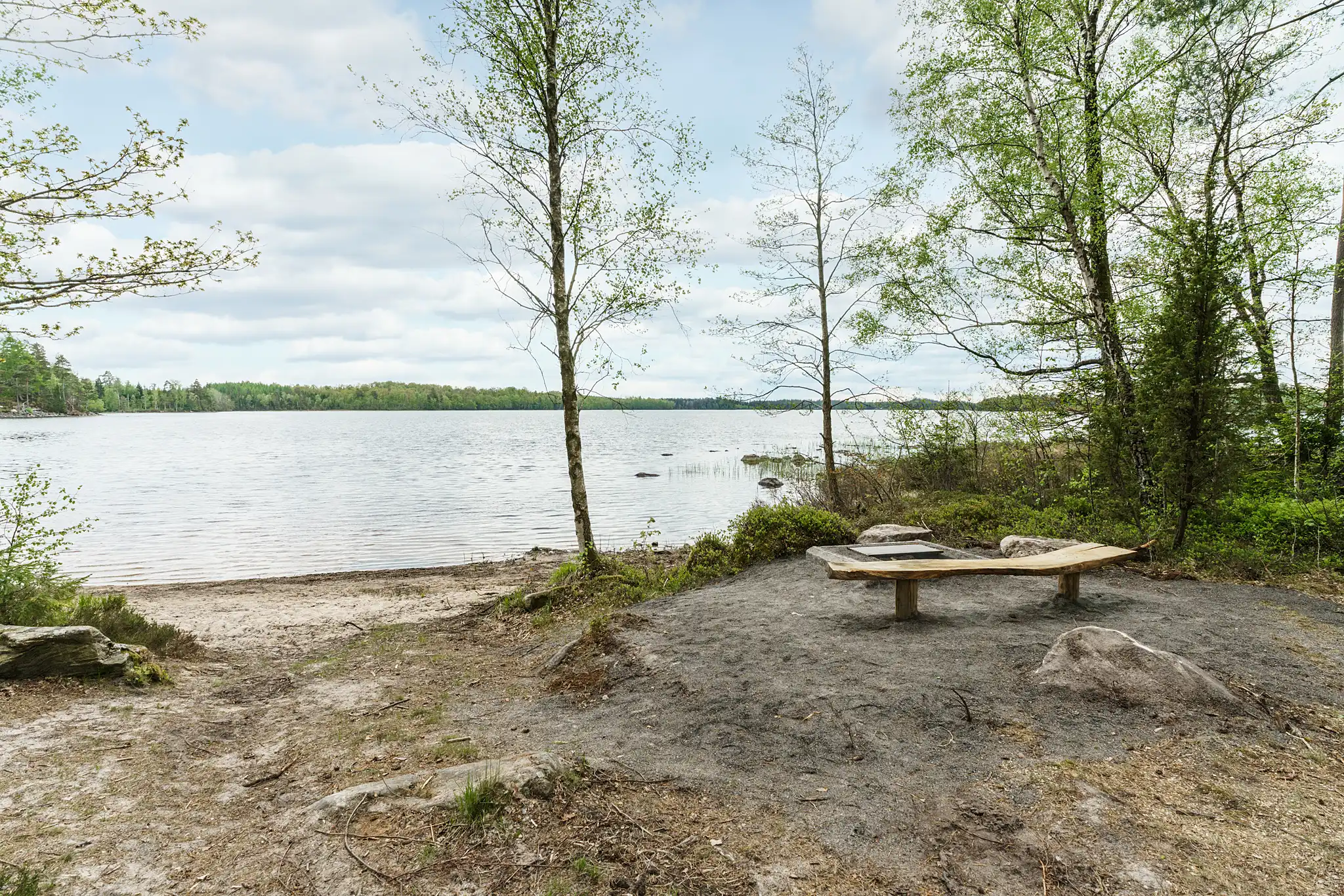 TovhultBjörkliden1,Bredaryd-12052025-023 22