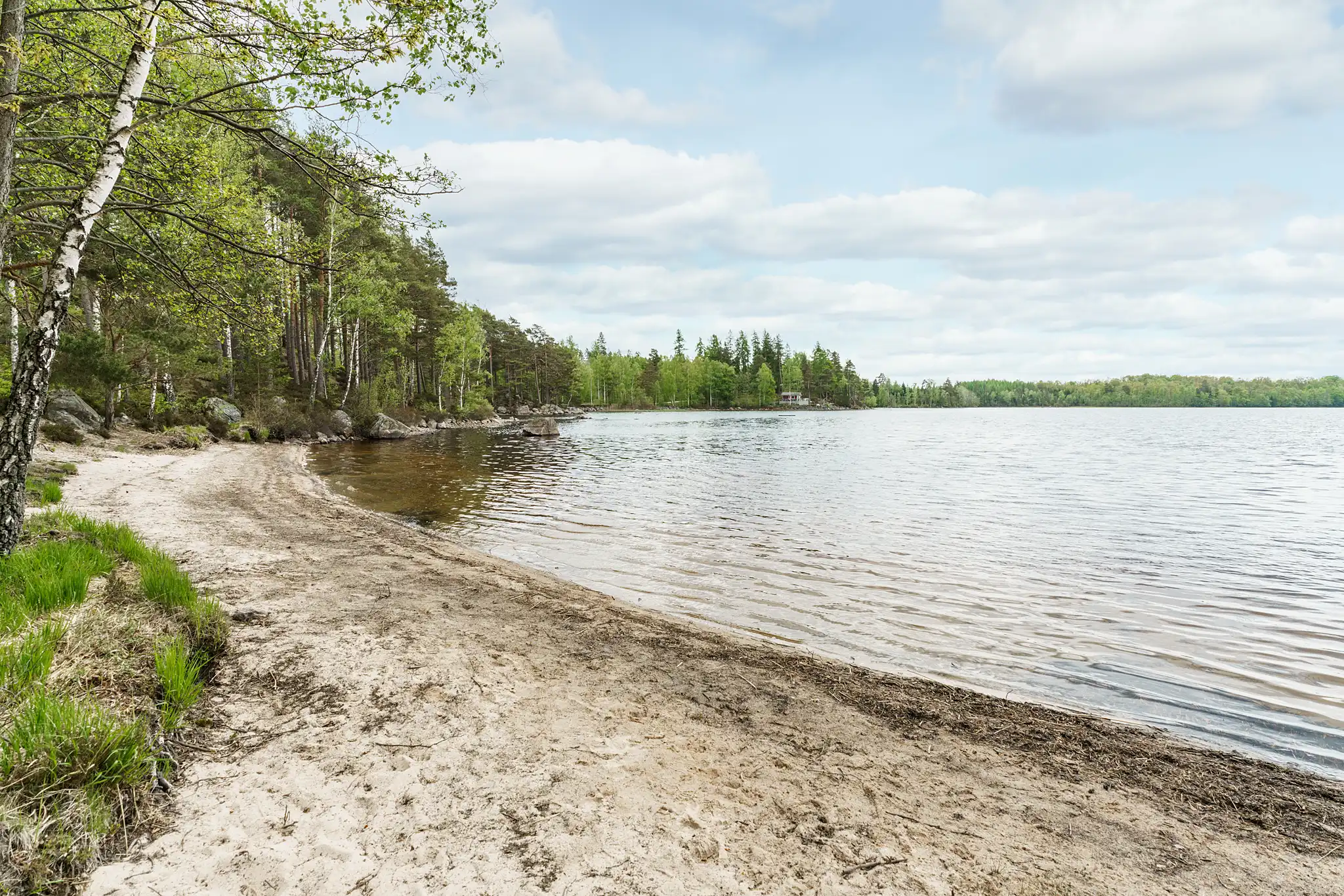 TovhultBjörkliden1,Bredaryd-12052025-024 23