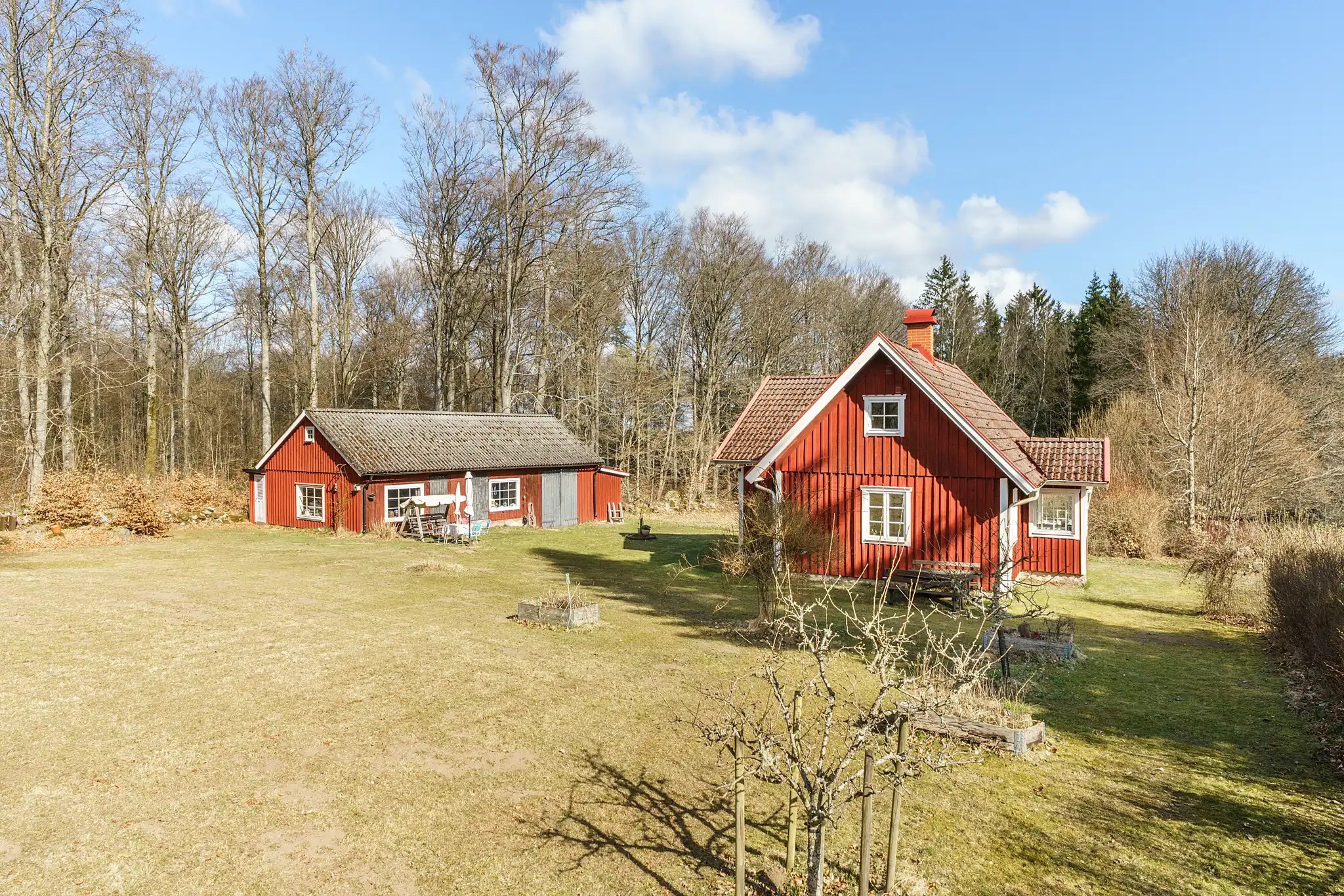 Åbuen2468,Hästveda-05042025-003 2
