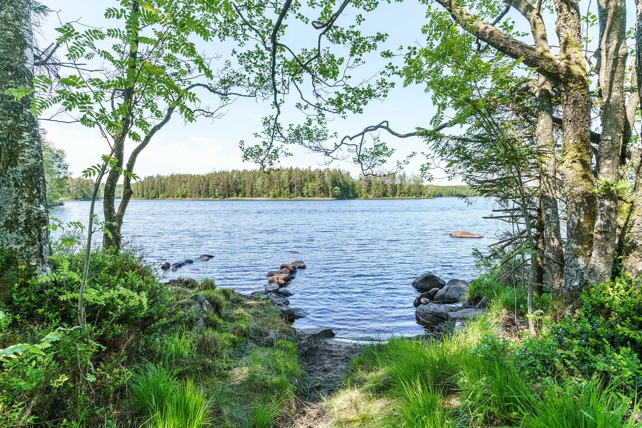 NorraHult404,Unnaryd-03062025-034 7