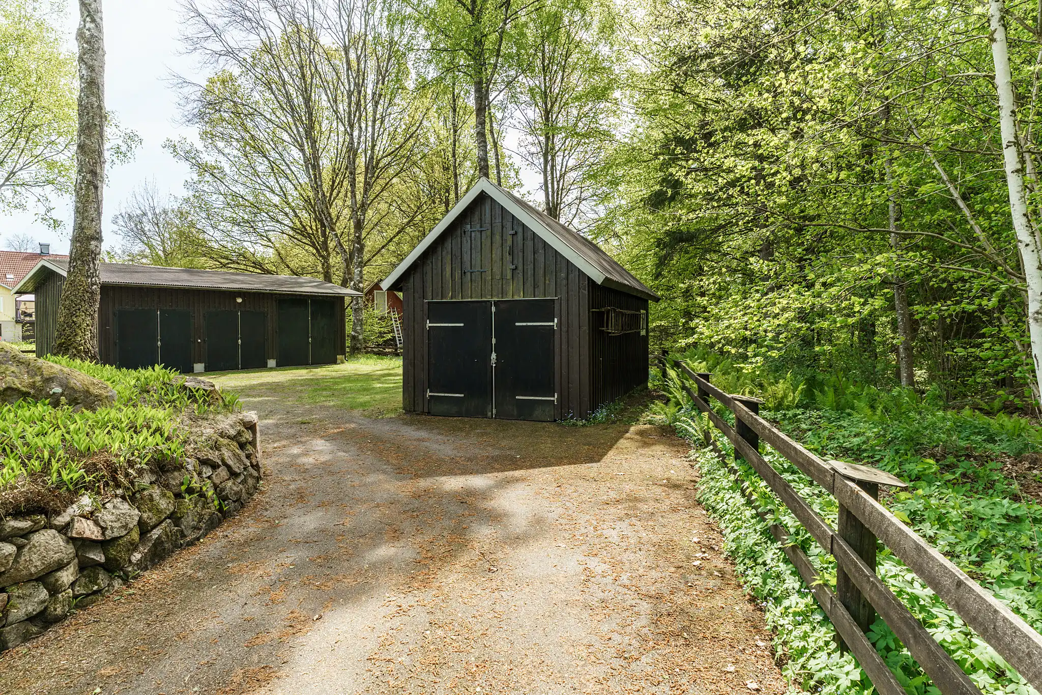 Mejarp4062,Vittsjö-13052025-004 3