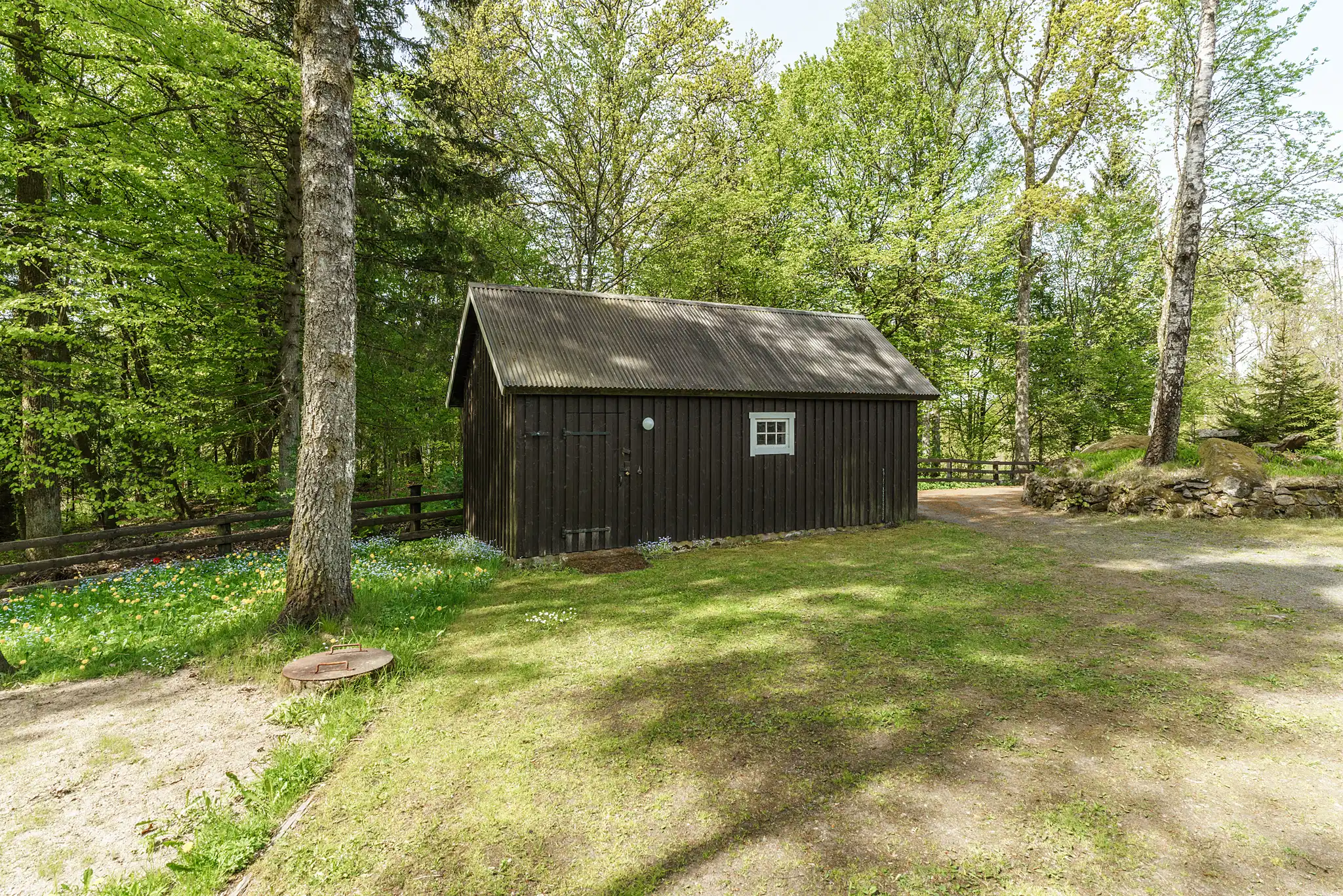 Mejarp4062,Vittsjö-13052025-005 4