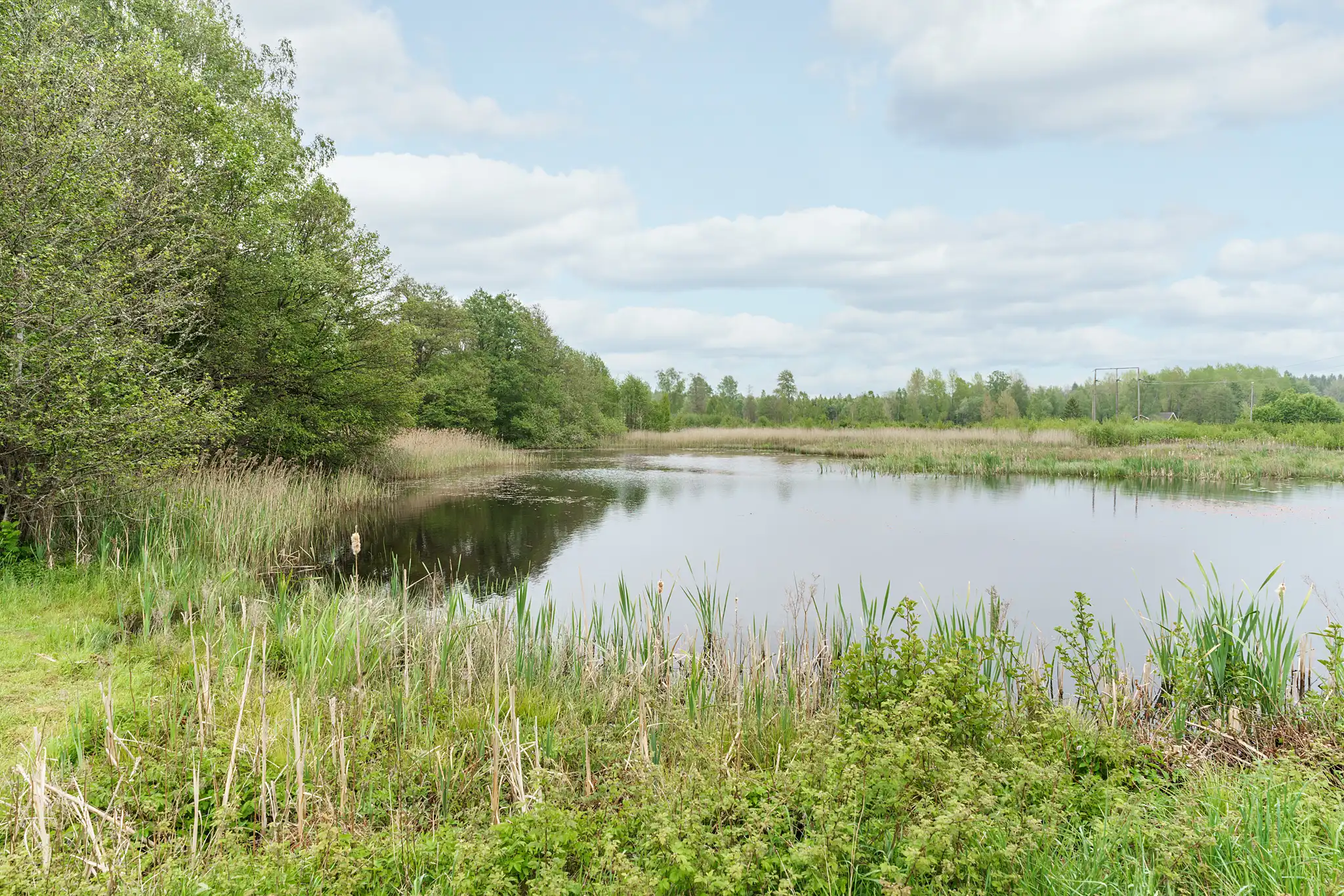 ÅbyNorregård4,Ljungby-21052025-032 31