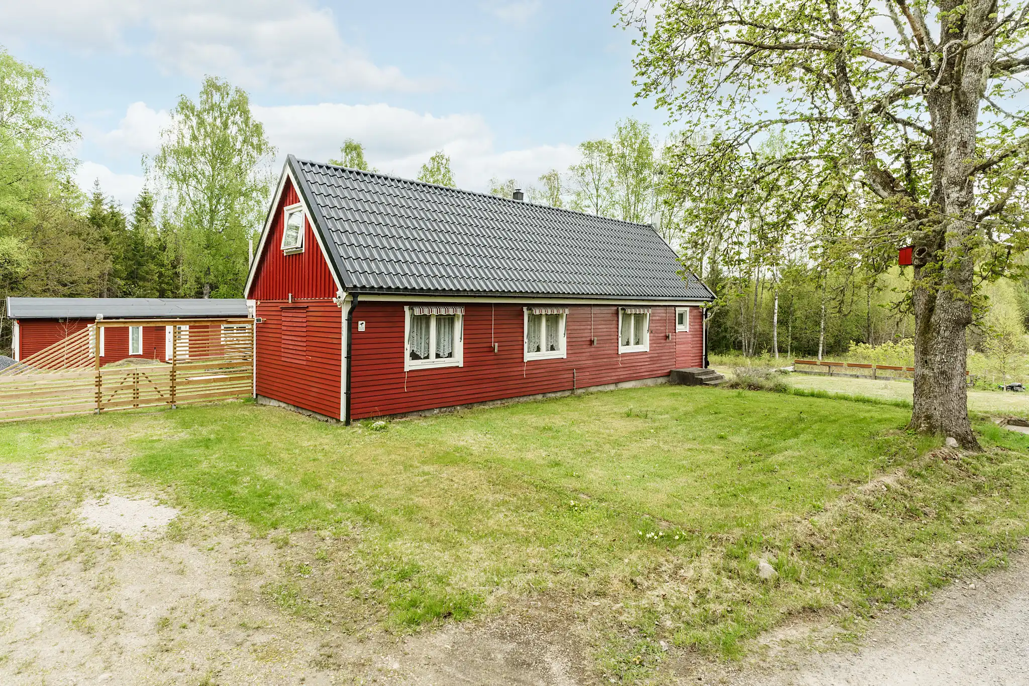 Snarrarp1090,Glimåkra-08052025-002 5