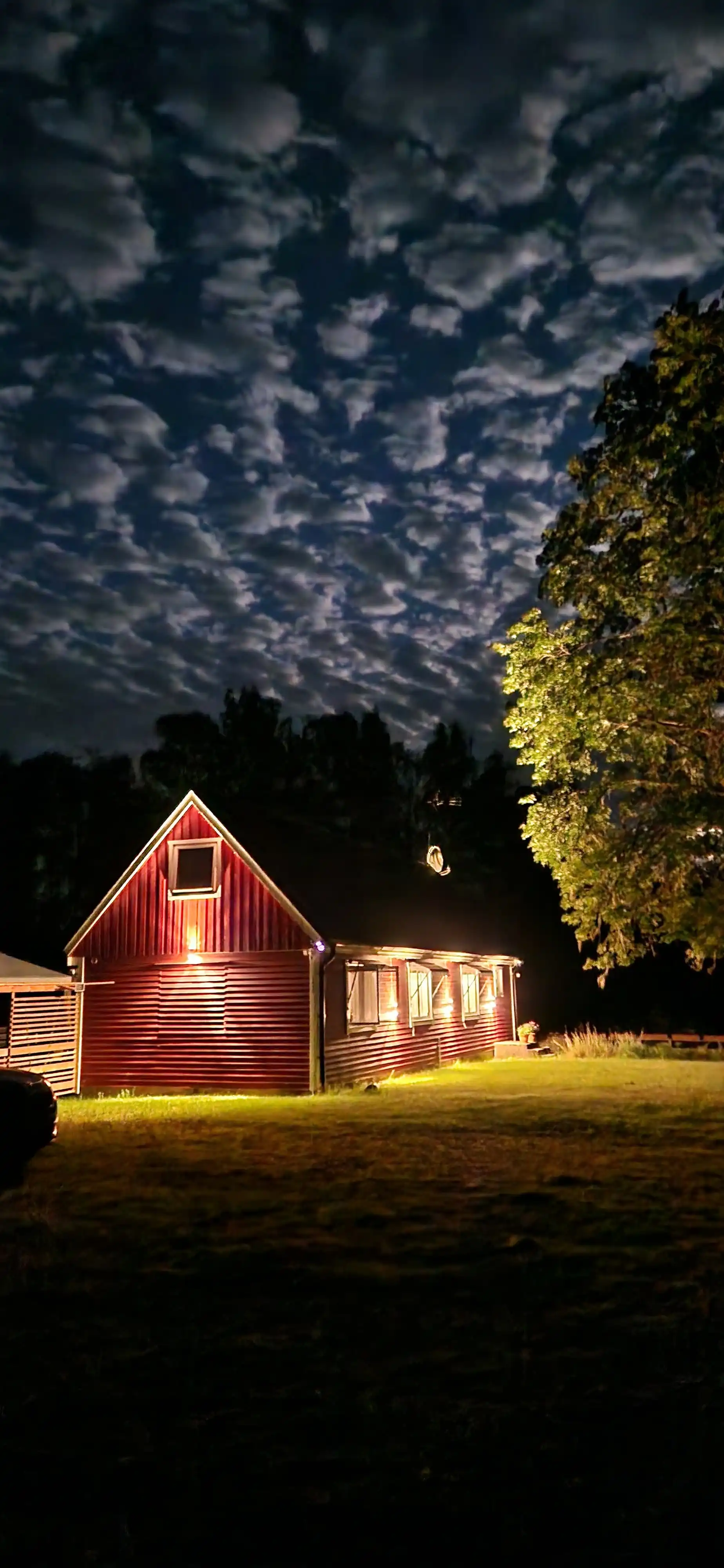 0202cd16-6342-462a-b422-8ce343054ae1 9