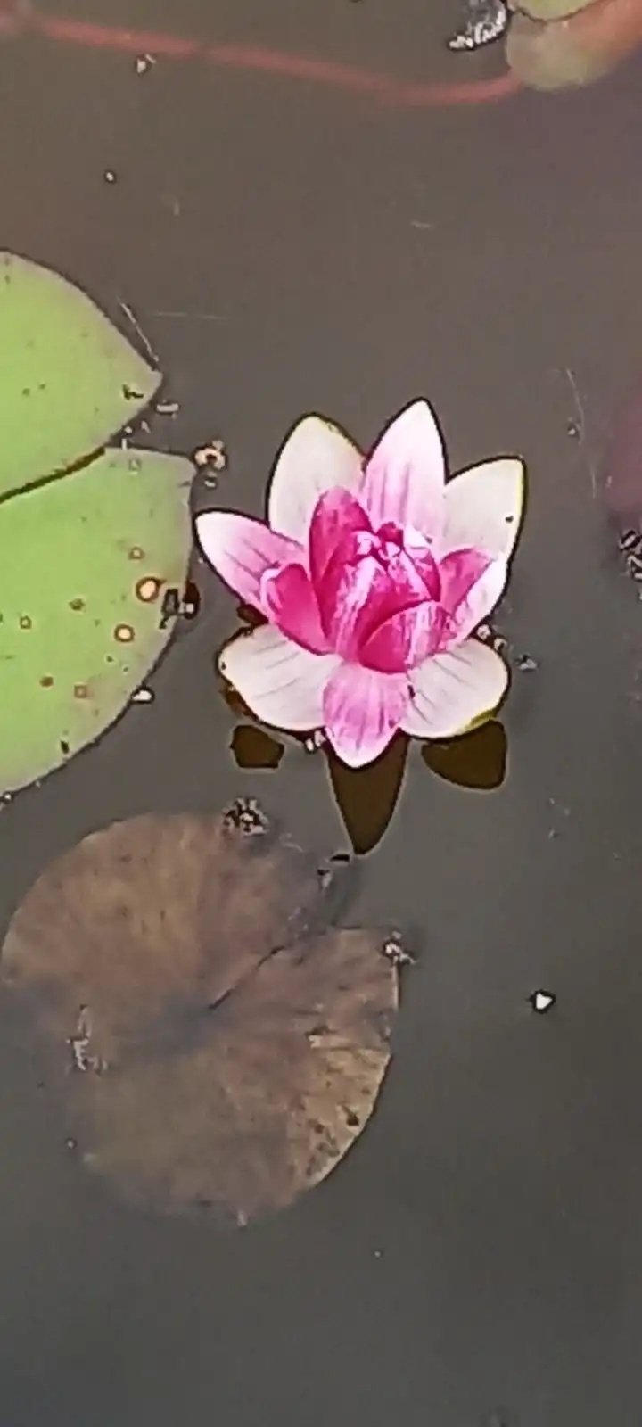 IMG-20251006-WA0023 6