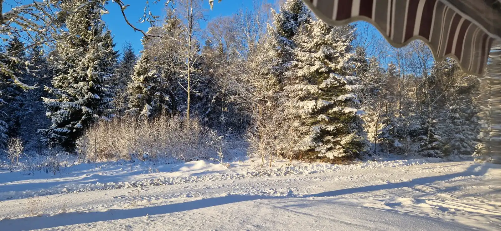 IMG-20251006-WA0012 43