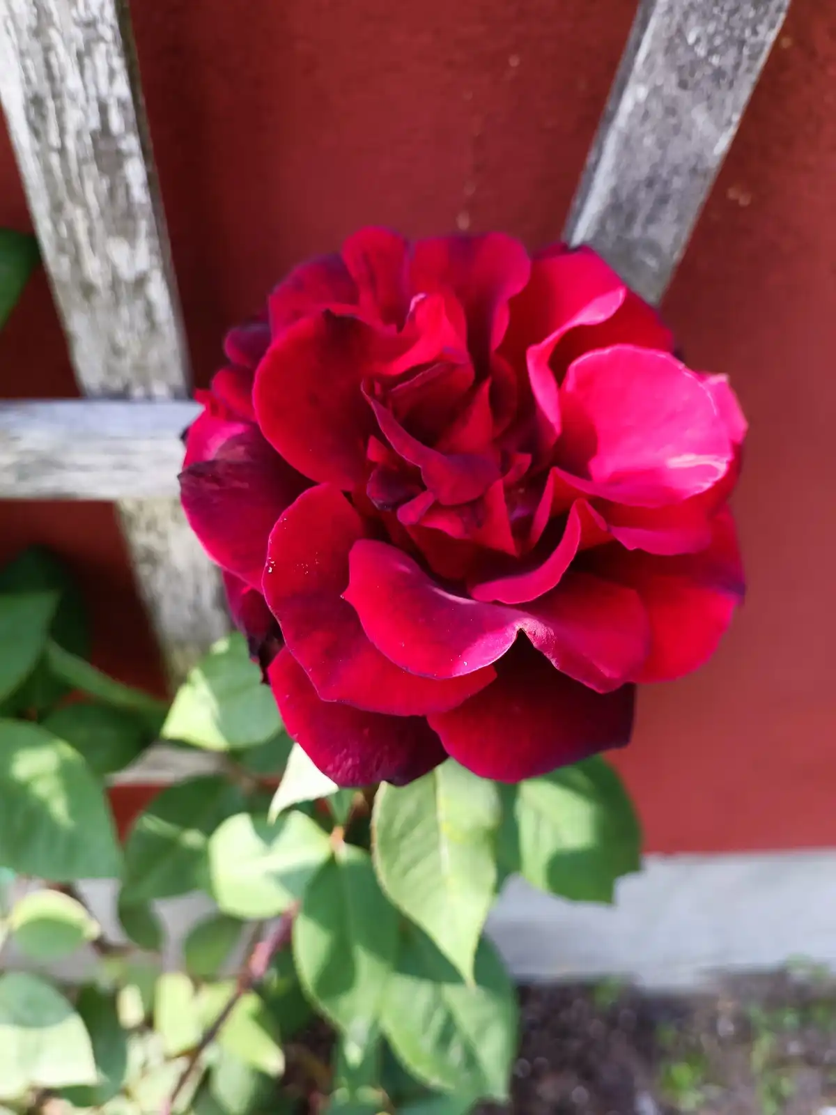 IMG-20251006-WA0015 12