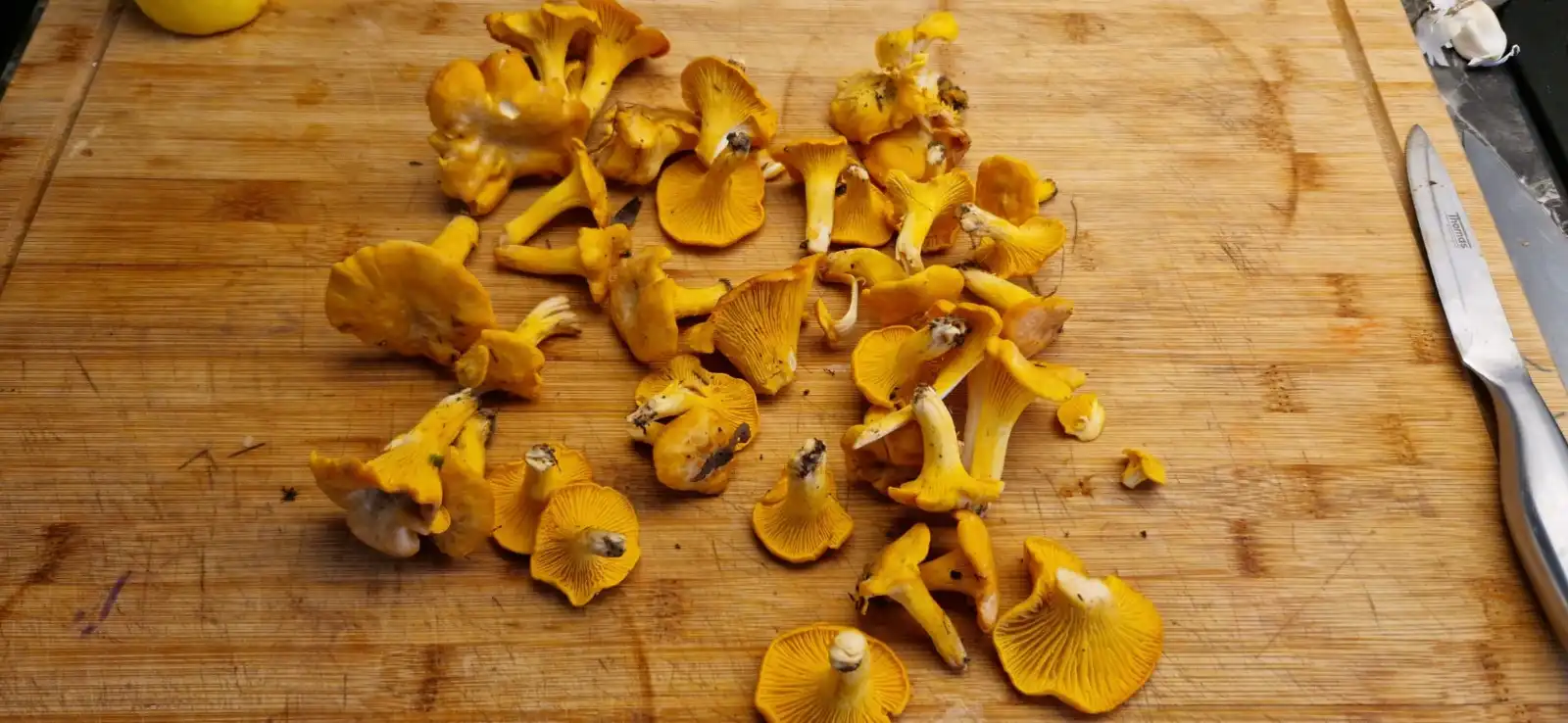 IMG-20251006-WA0016 45