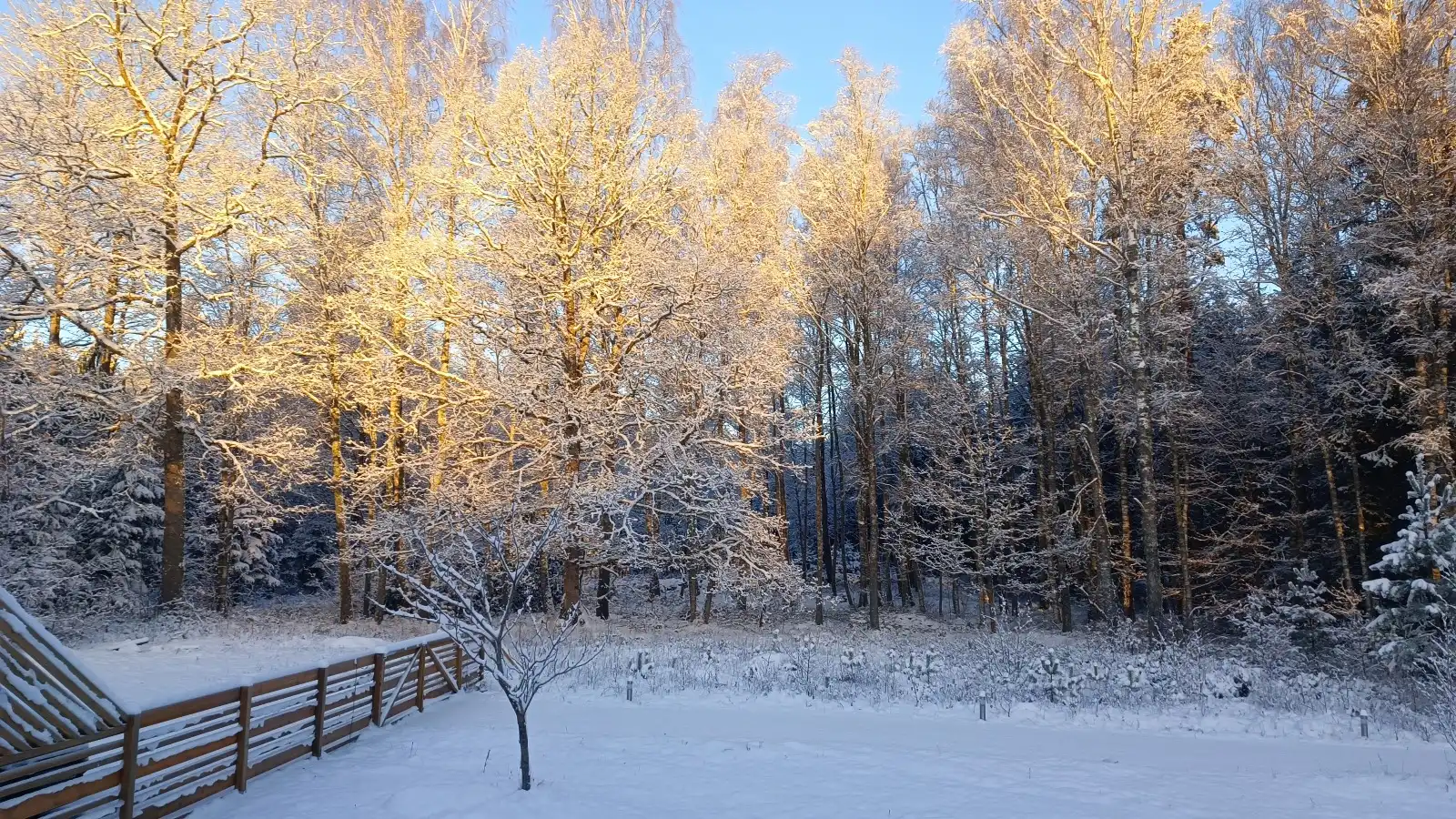 IMG-20251006-WA0003 49