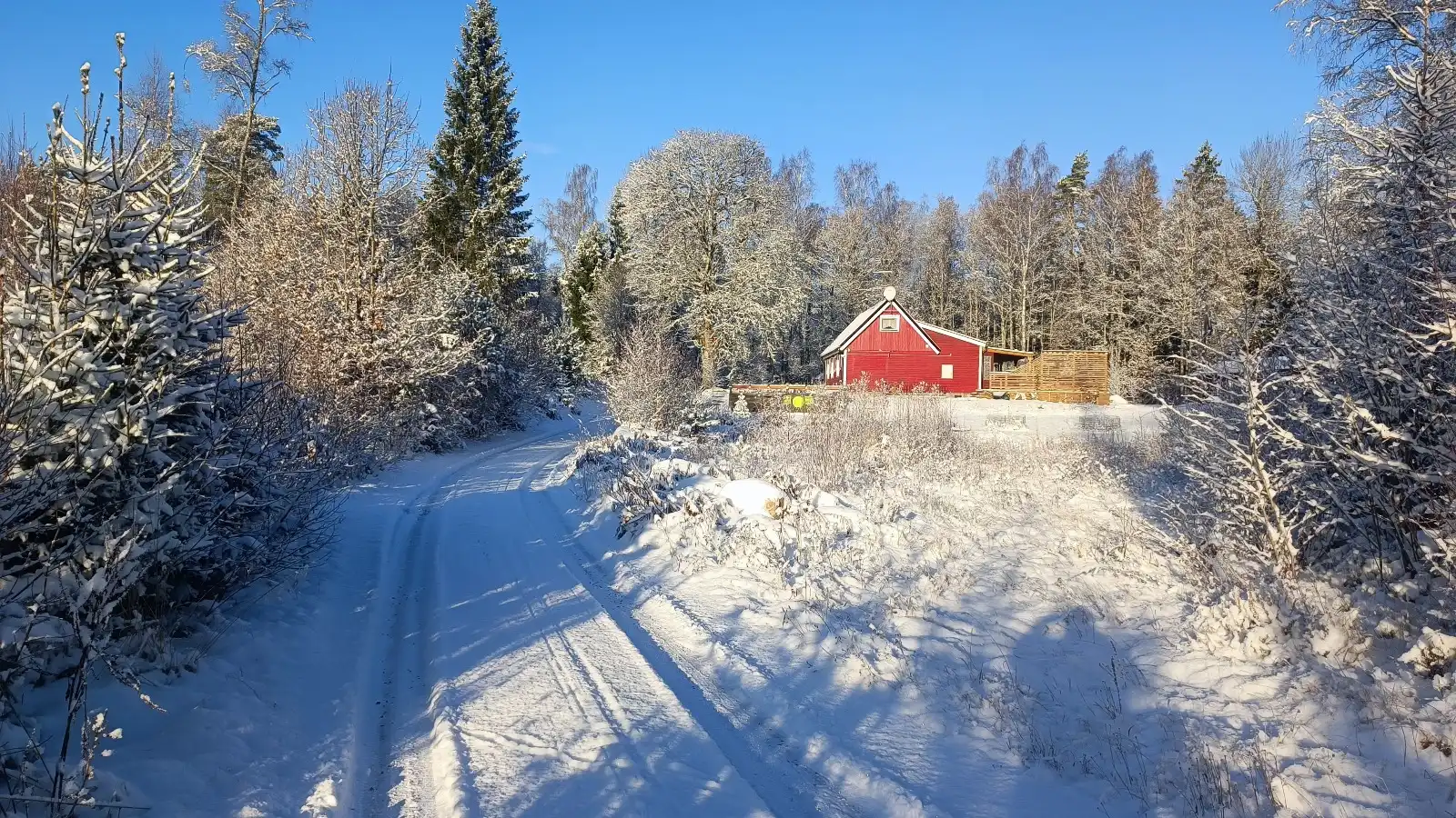 IMG-20251006-WA0002 1