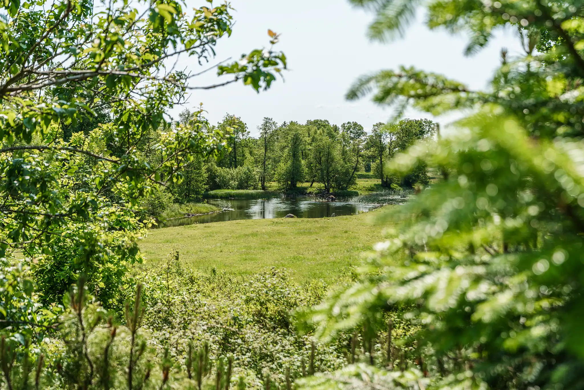 VerumsHörlinge1525,Osby-12062025-006 14