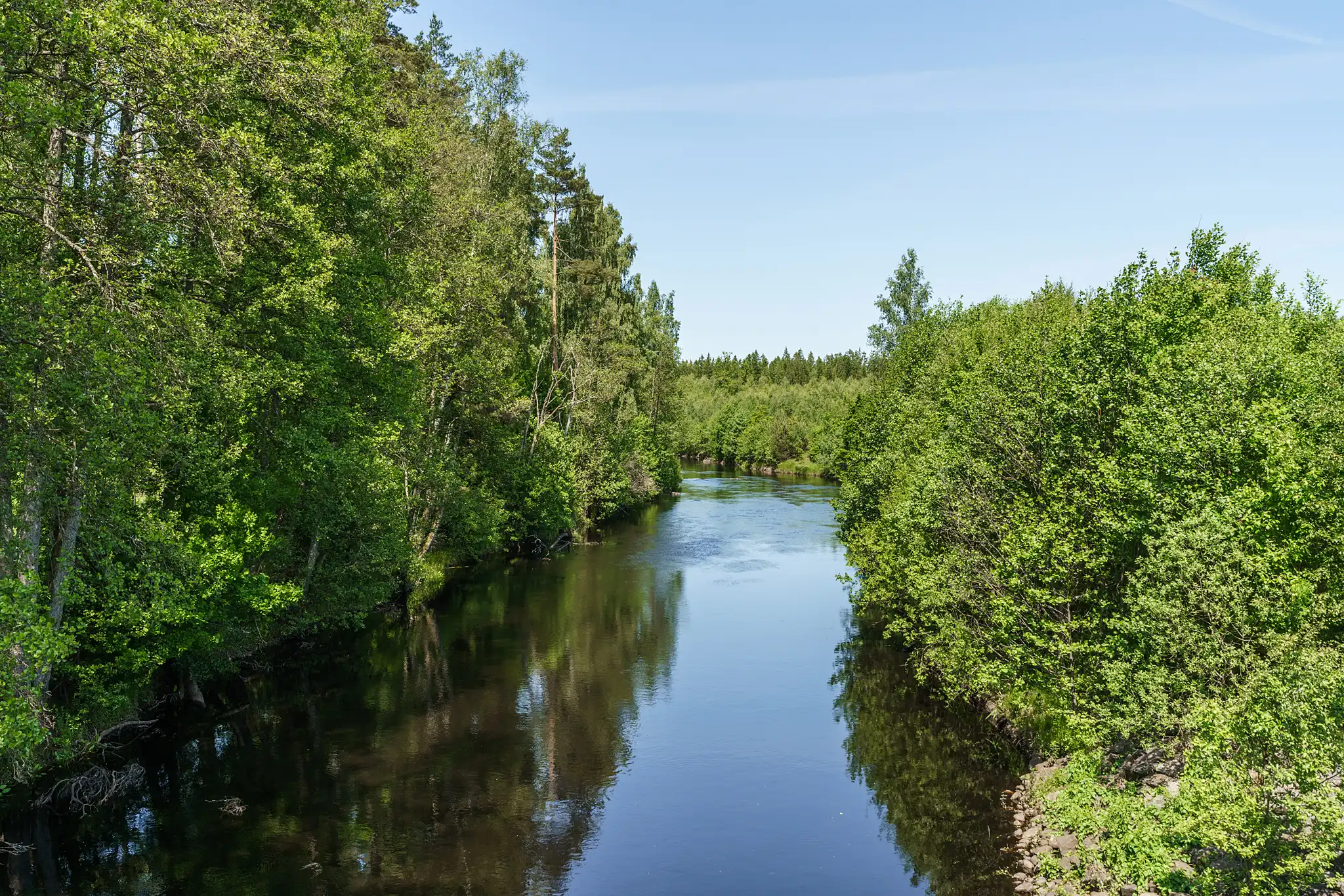 VerumsHörlinge1525,Osby-12062025-030 5
