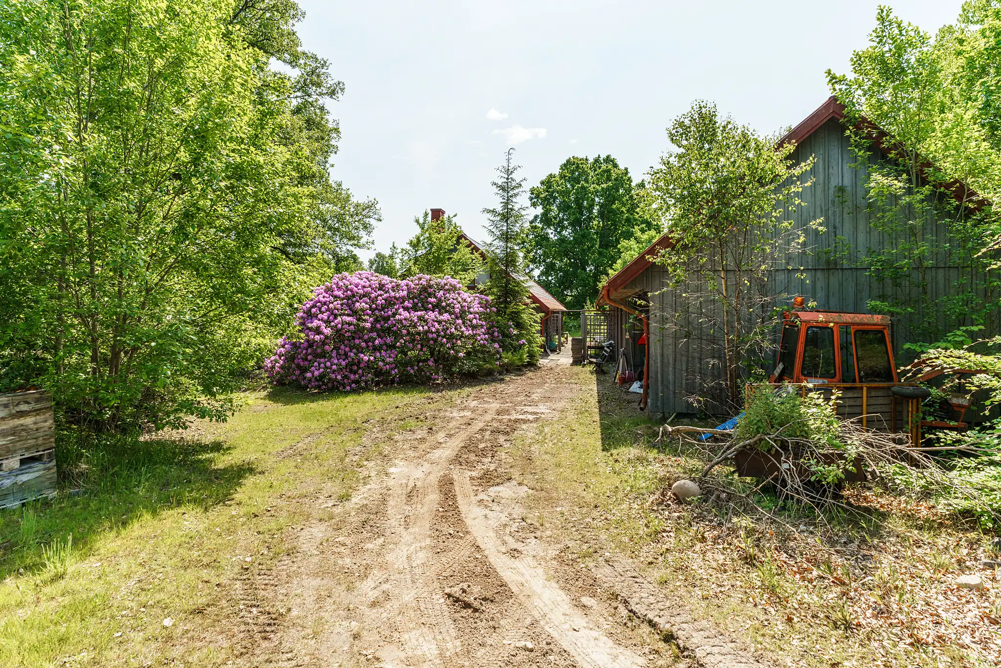 VerumsHörlinge1525,Osby-12062025-001 10