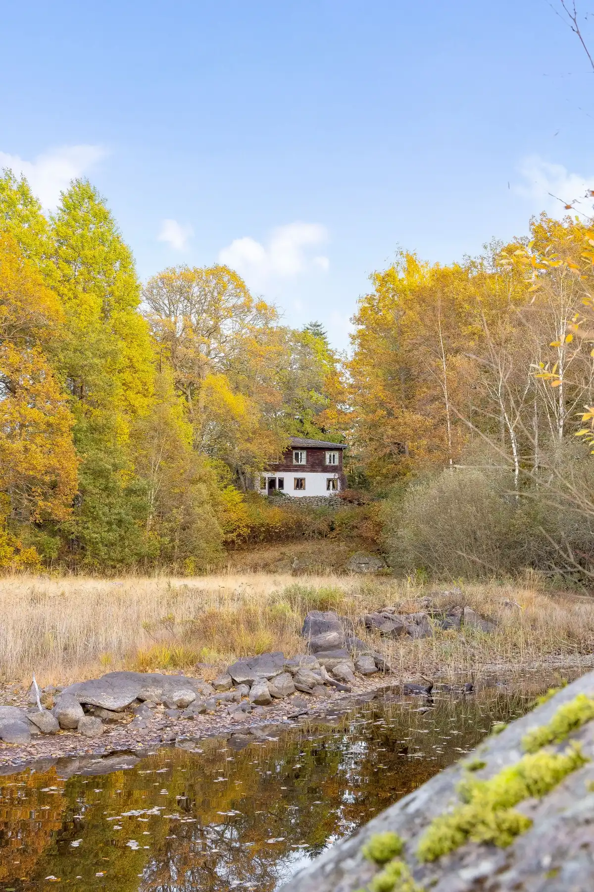 MV_perfectshot_gemlagtan1540_web 6