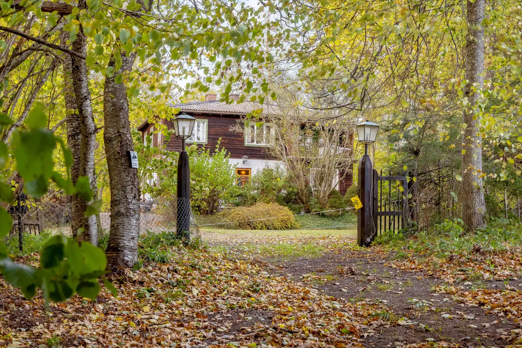 MV_perfectshot_gemlagtan15244_web 1