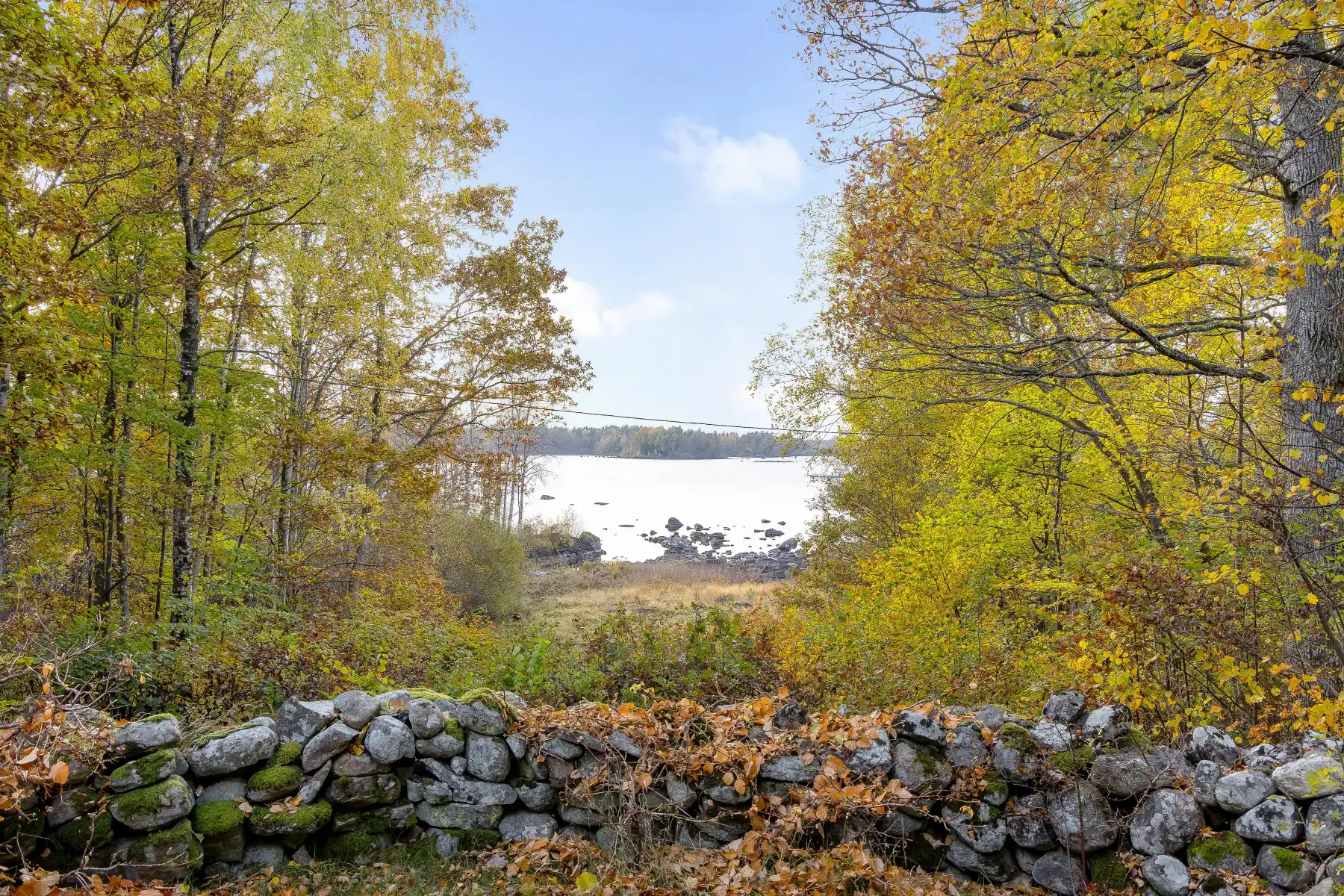 MV_perfectshot_gemlagtan1566_web 37