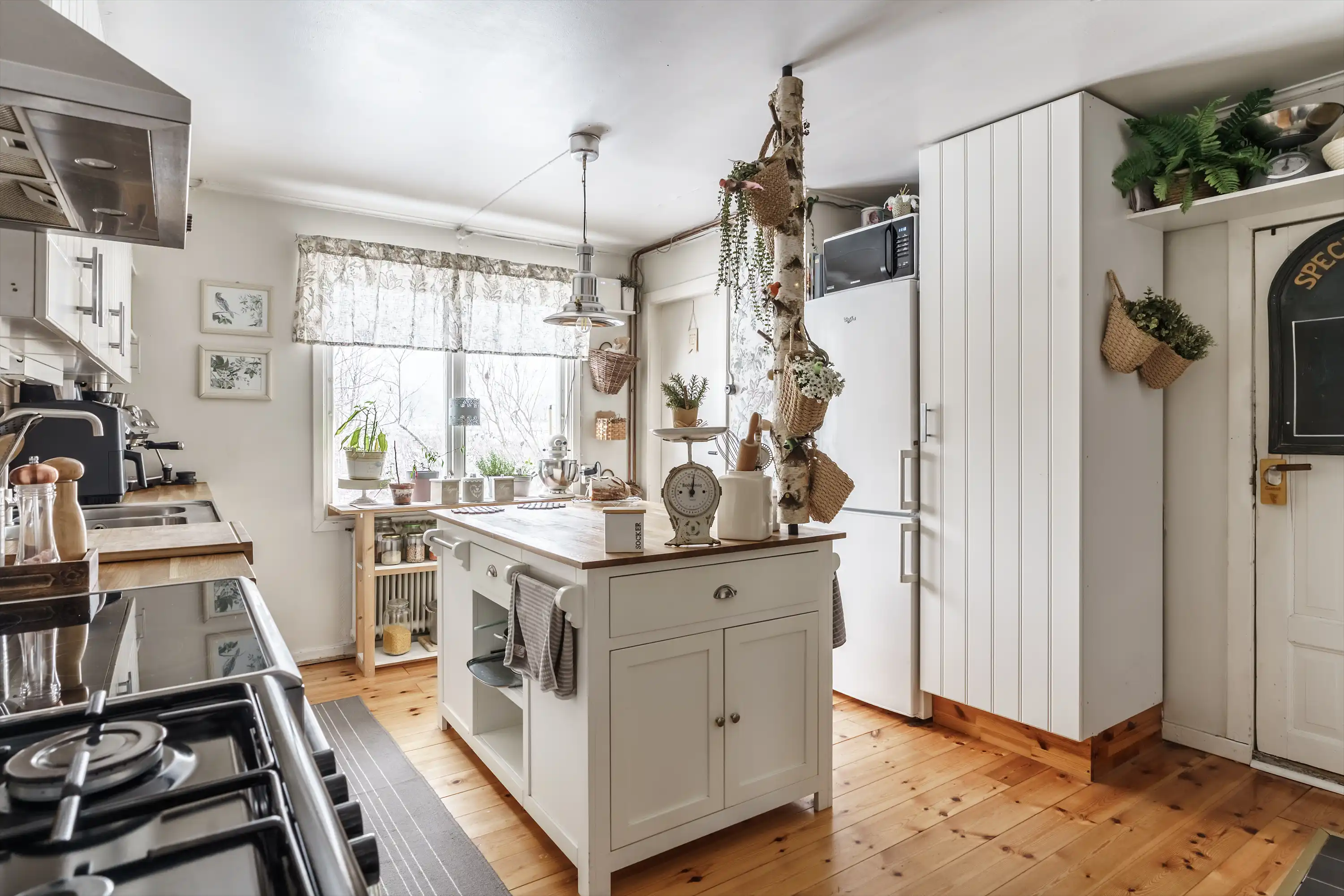 Stoby-Algustorp2348,Ballingslöv-07012026-009 8