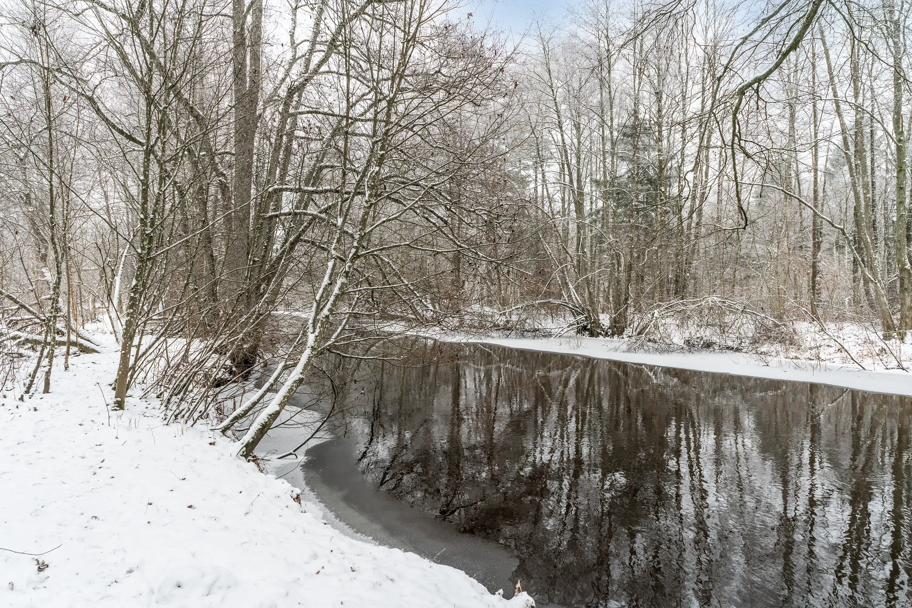 Stoby-Algustorp2348,Ballingslöv-07012026-027 26