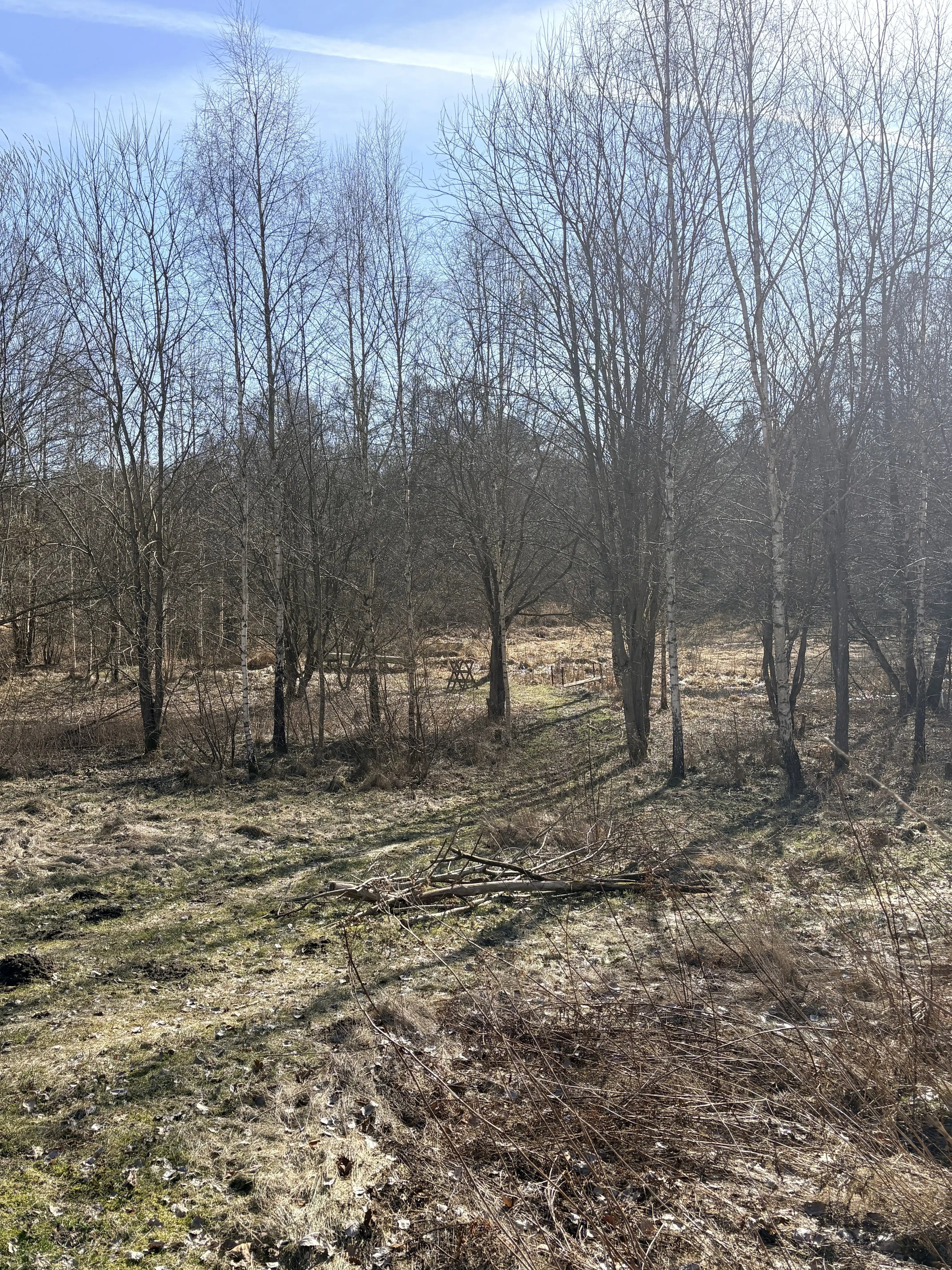 IMG_2025.jpeg 30