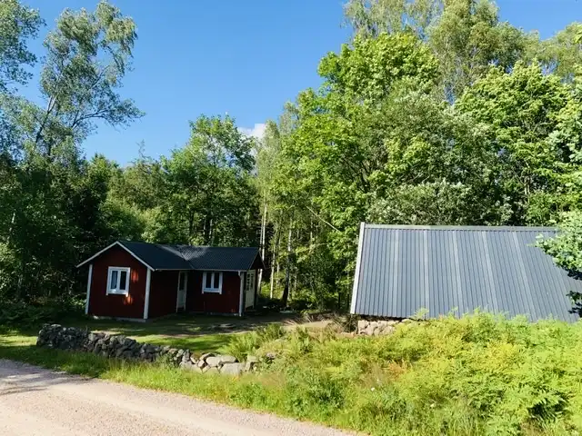 1A04C6C9-788B-4DC3-A342-E0C256A6E9E5 29