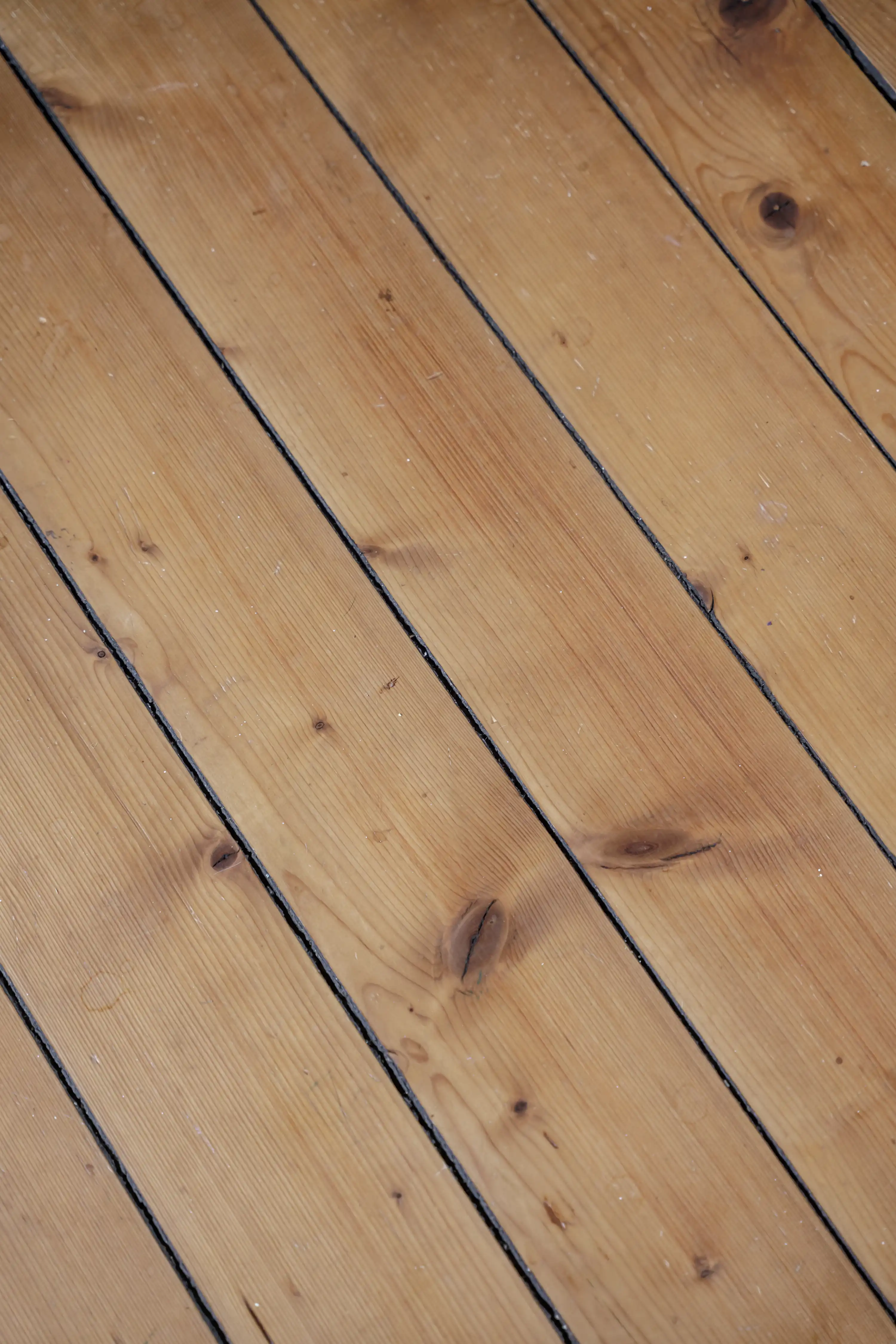 KolborshultAnderstorp1,Älmhult-23022026-017.jpg 16