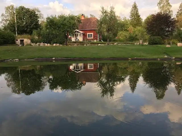 c3dd87b9-9a29-4d5d-81f8-ae7b5ed54d73.jpg 31