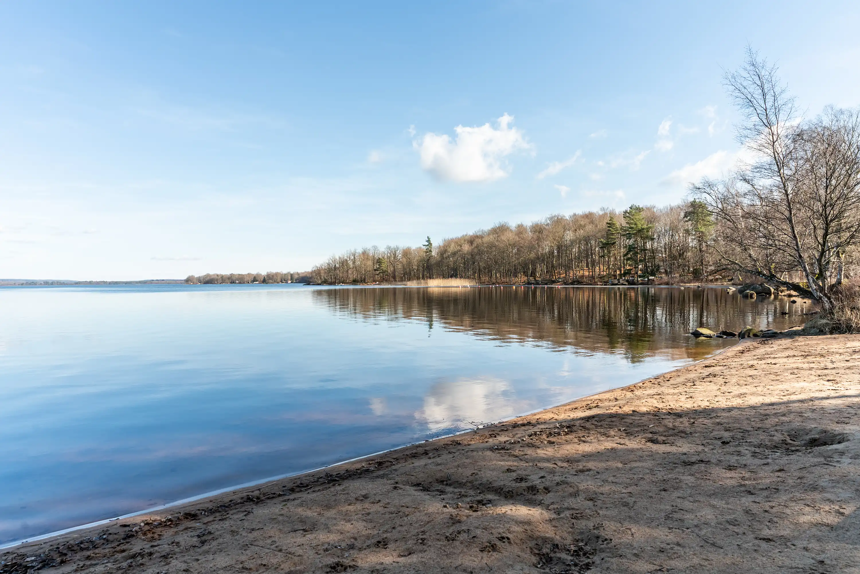 RosasStig10,Munka-Ljungby-20032026-026.jpg 4