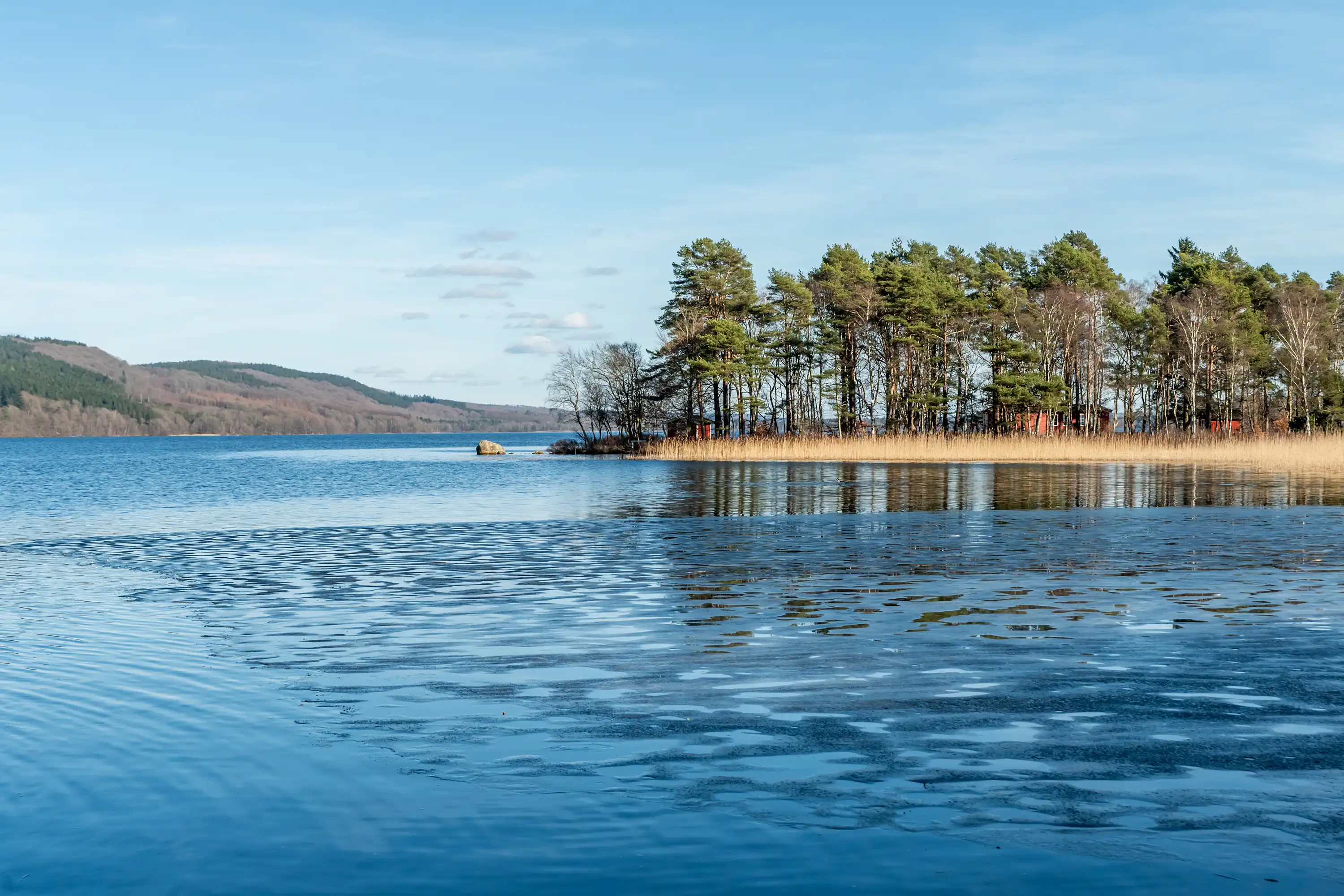 RosasStig10,Munka-Ljungby-20032026-022.jpg 3