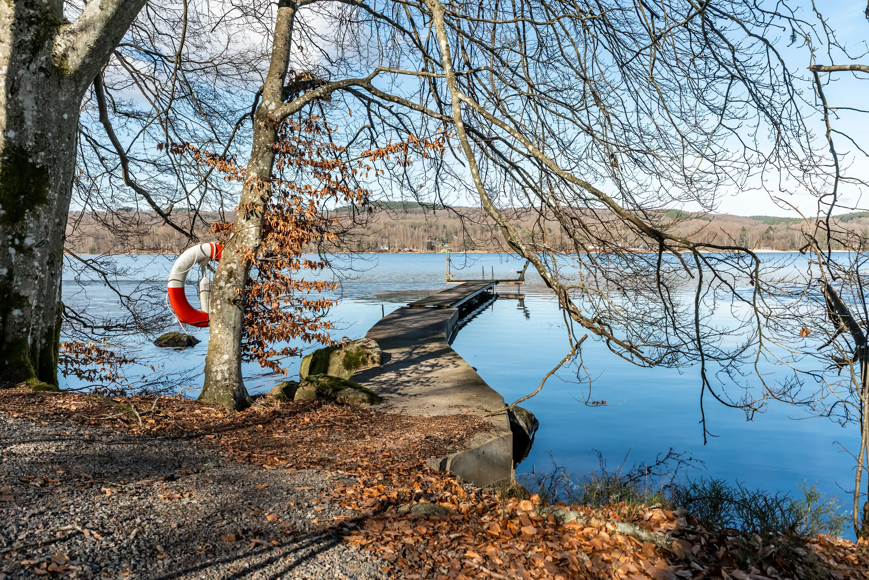 RosasStig10,Munka-Ljungby-20032026-023.jpg 23