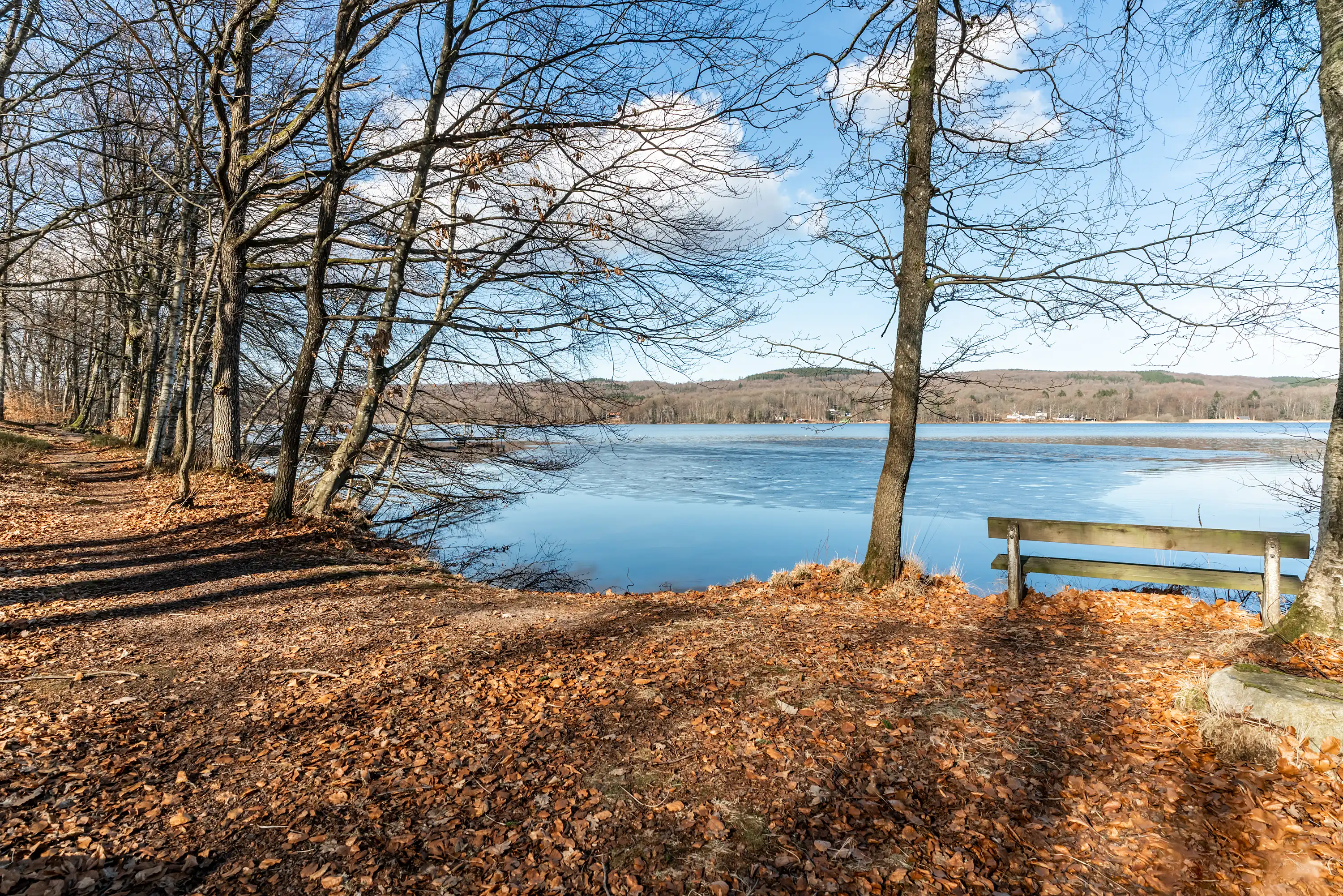 RosasStig10,Munka-Ljungby-20032026-024.jpg 5