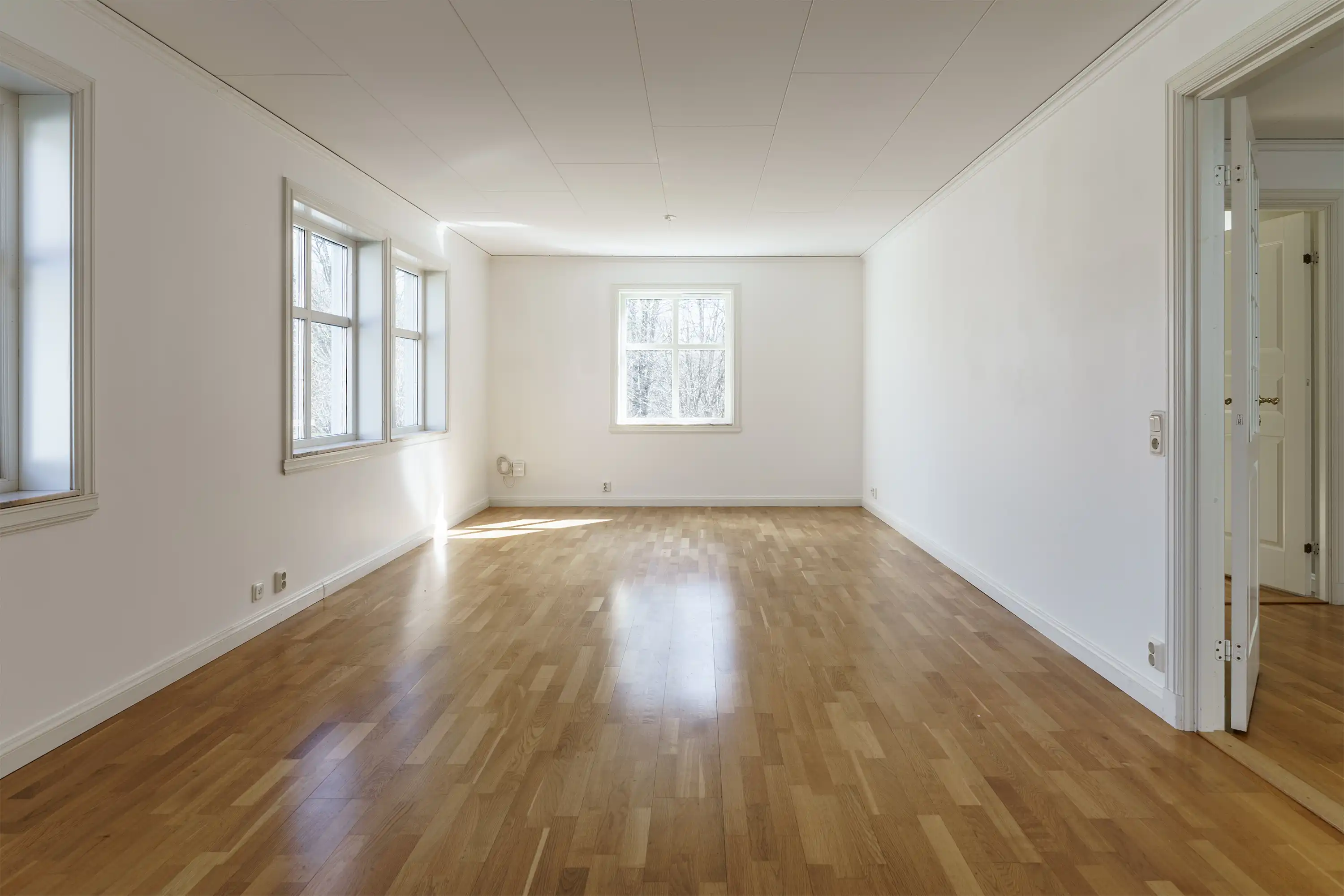 Apelhult1711,Älmhult-08042026-009.jpg 8