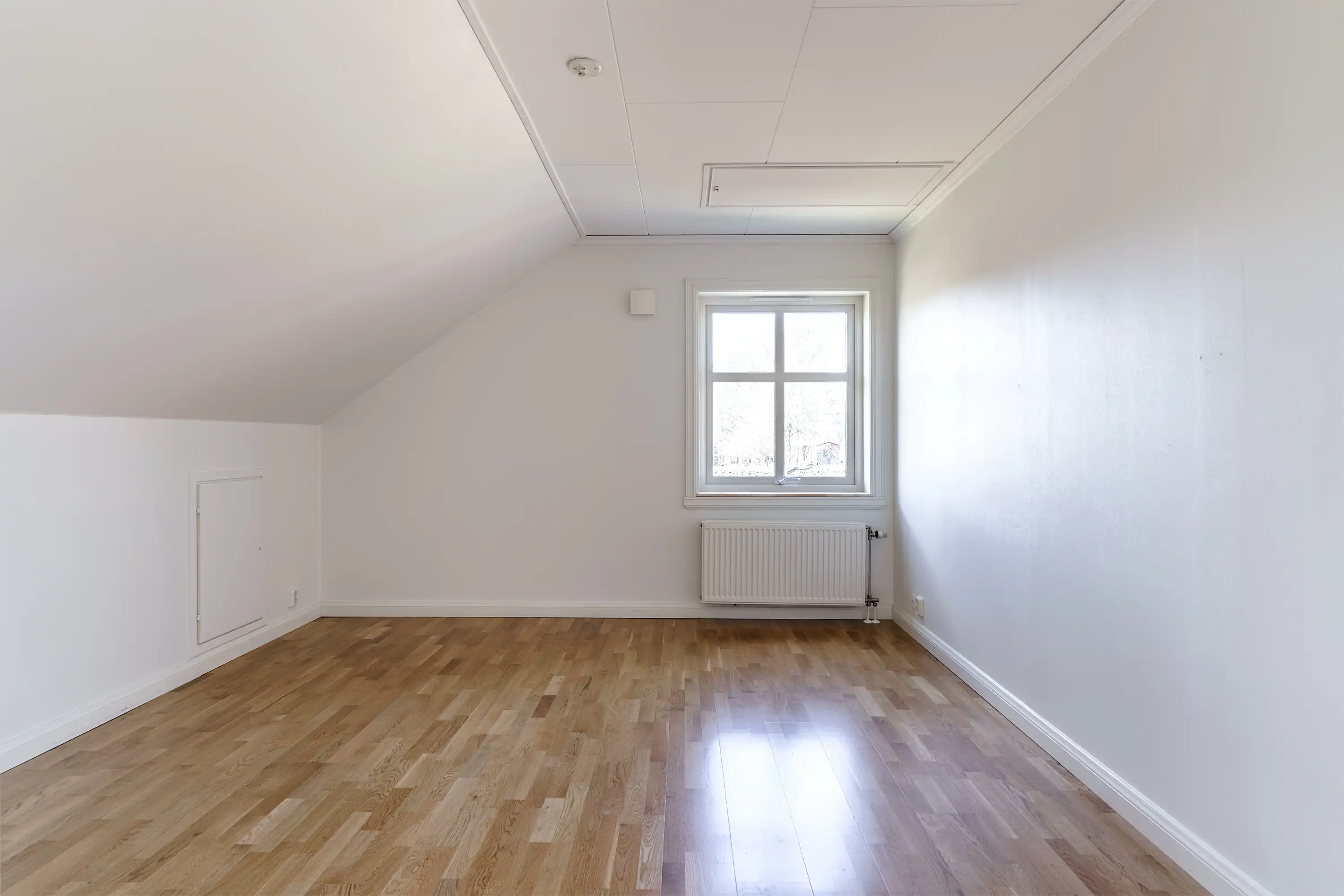 Apelhult1711,Älmhult-08042026-018.jpg 19