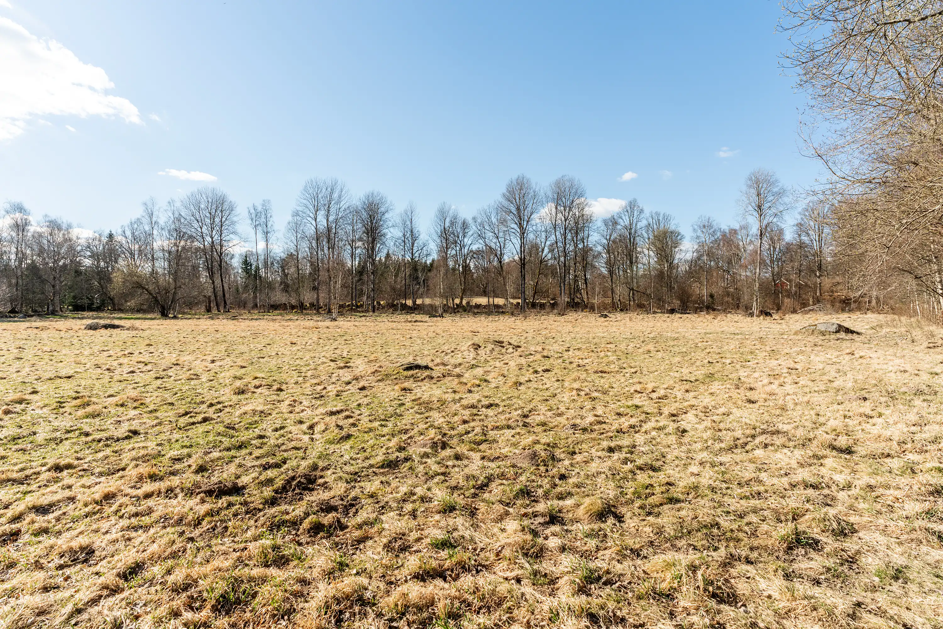 Apelhult1711,Älmhult-08042026-032.jpg 32