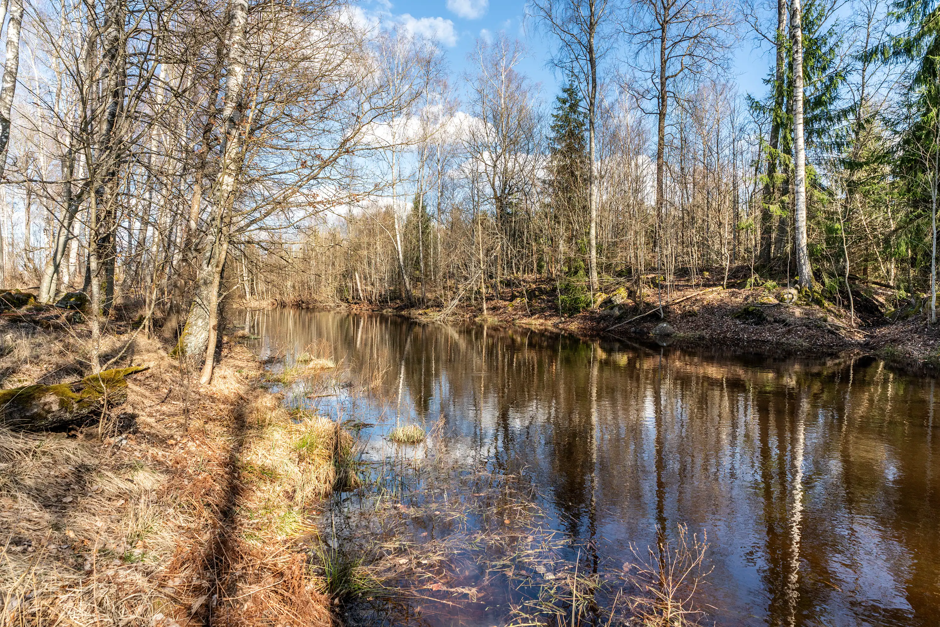 Apelhult1711,Älmhult-08042026-031.jpg 30