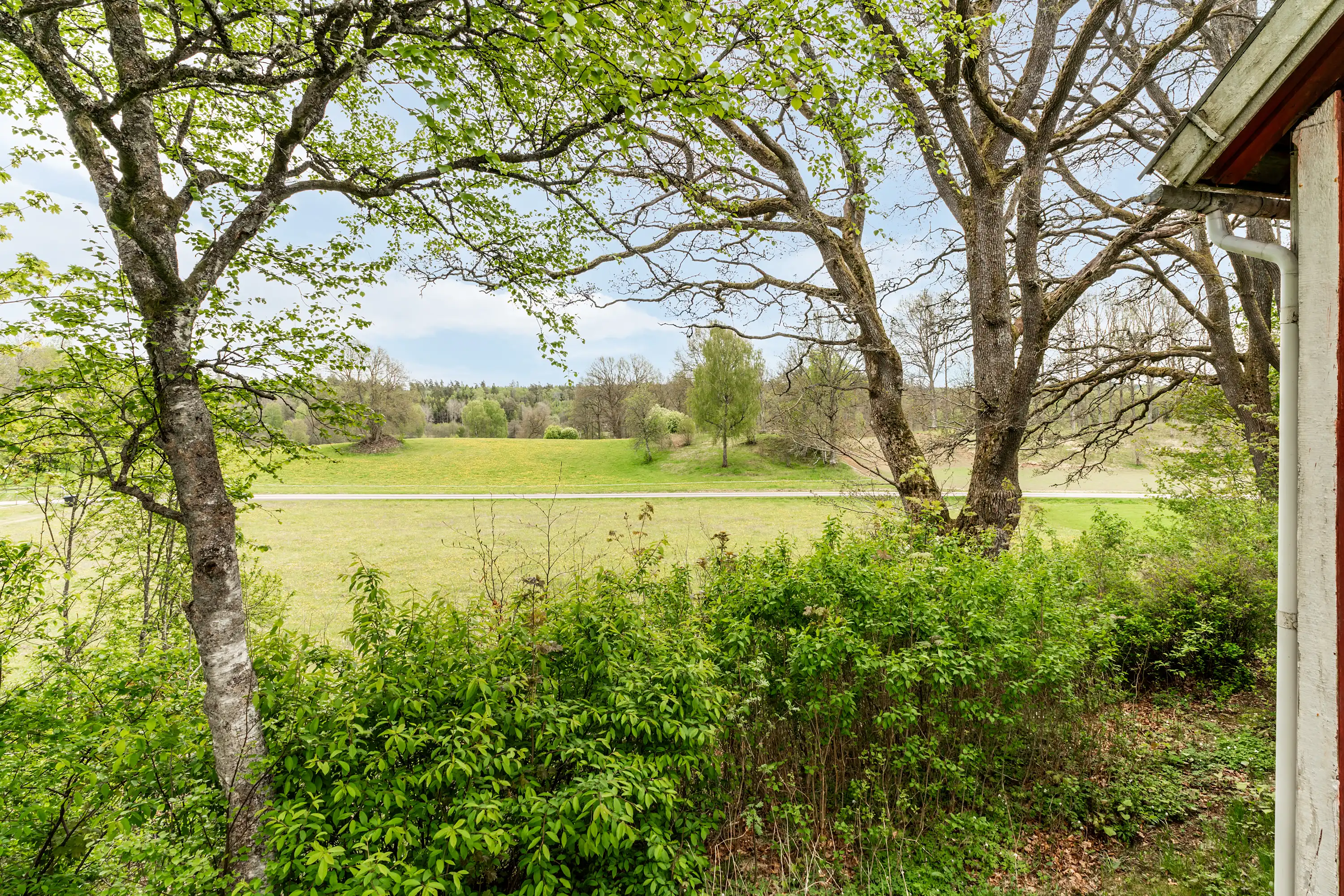 Gräsholma1517,Markaryd-19052026-005.jpg 3