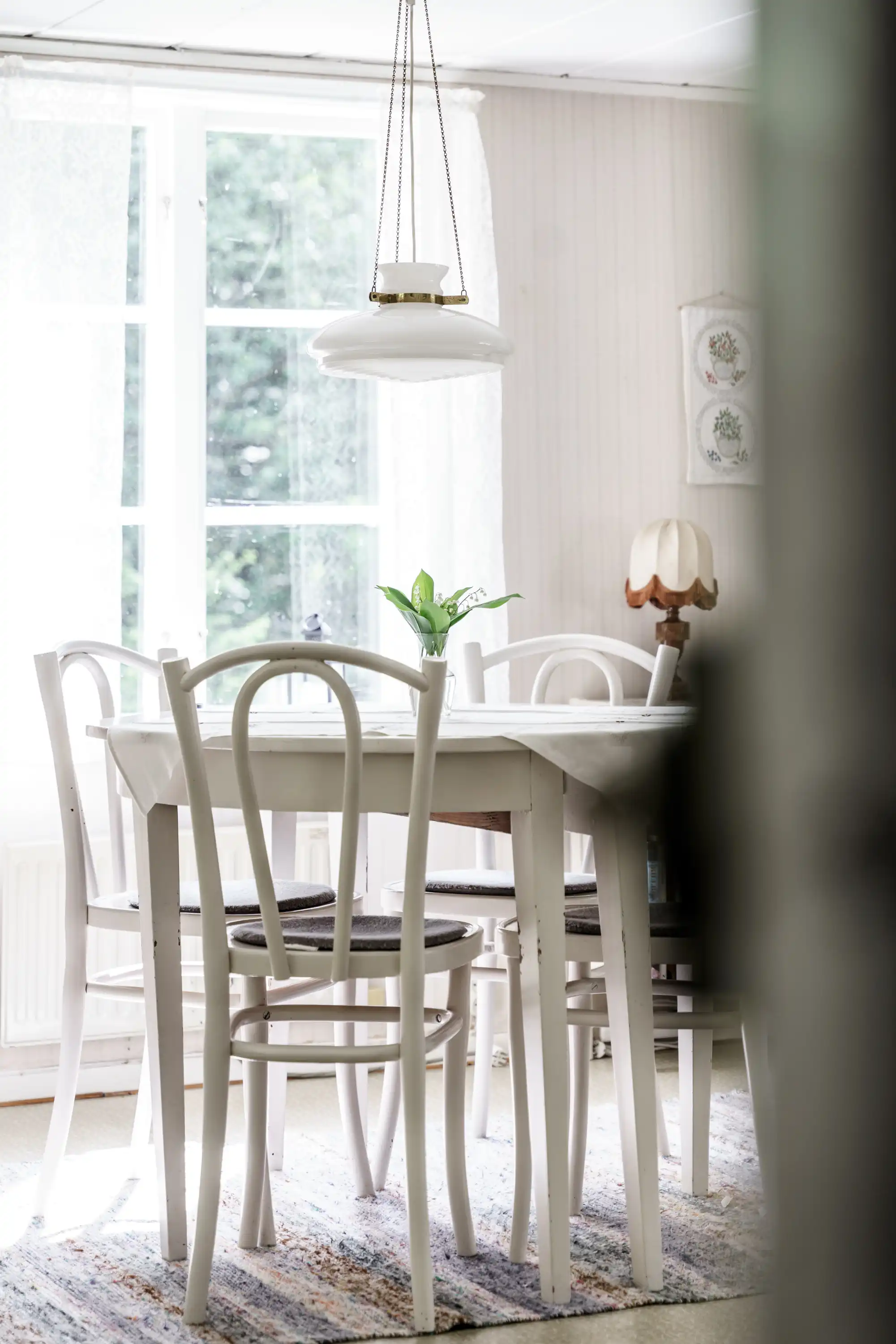 IMG_7164.jpeg 10