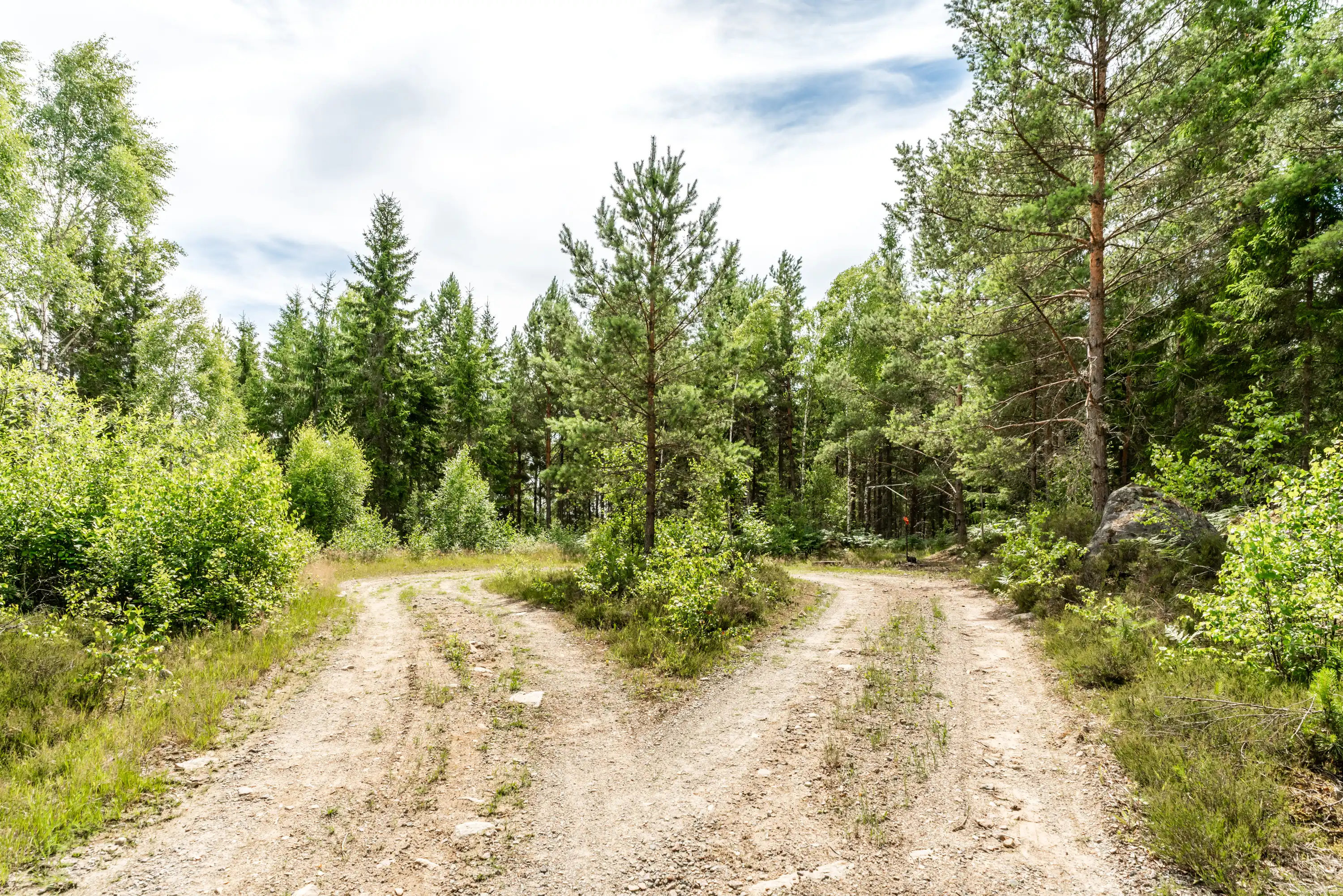 Hynnenäs2,Lönashult-10072026-29.jpg 29