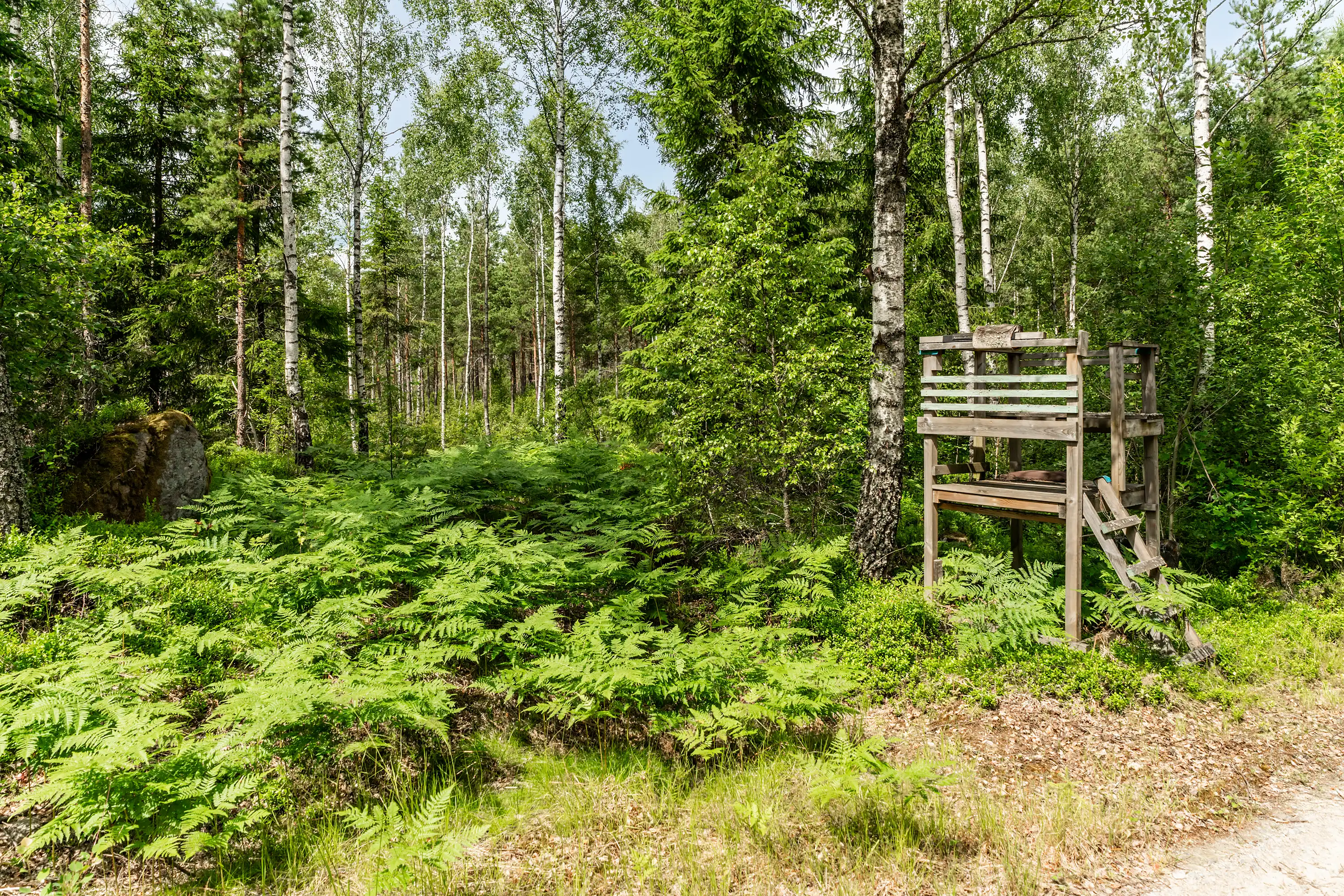 Hynnenäs2,Lönashult-10072026-31.jpg 32