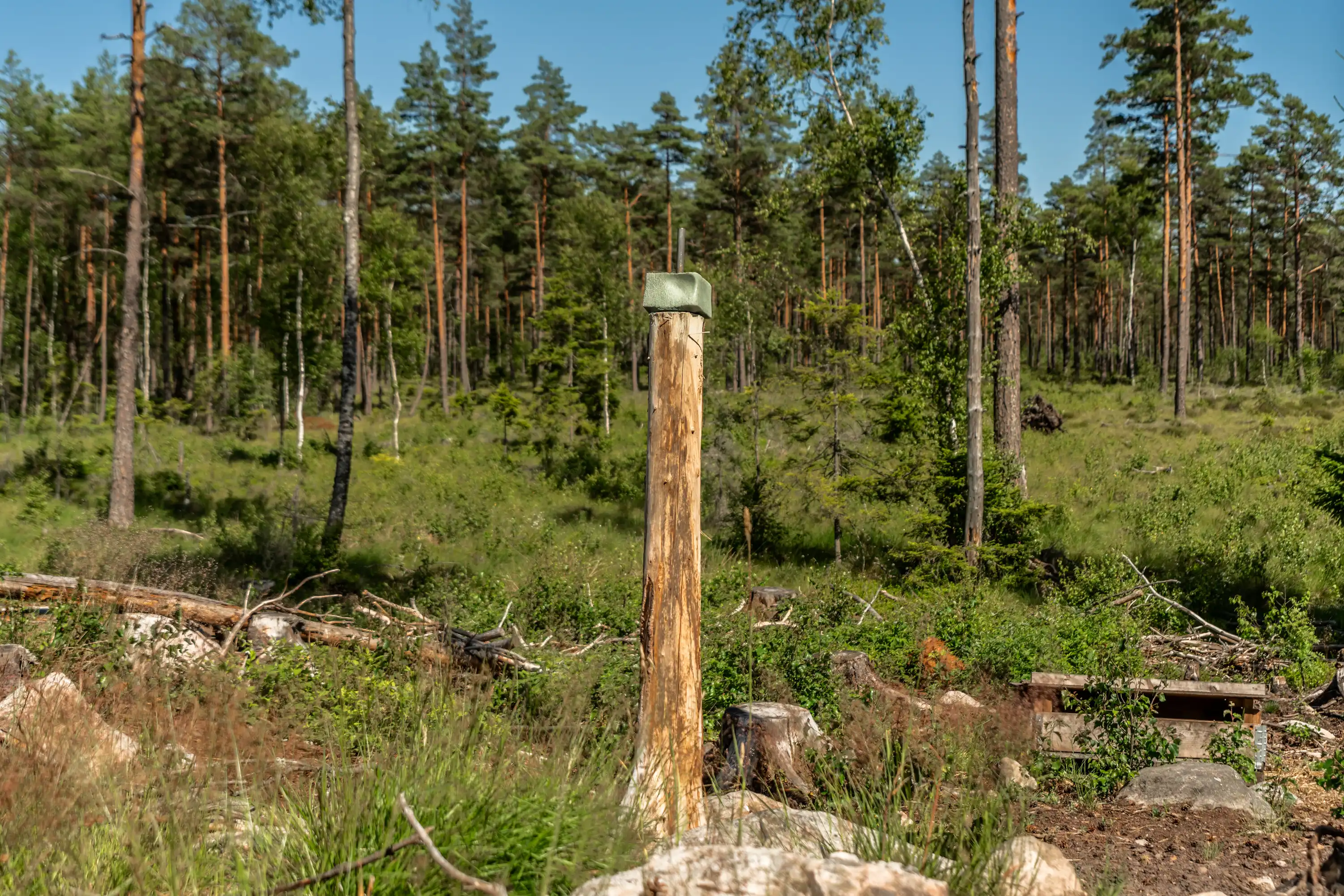 Millebygden30,Älmhult-26062026-12.jpg 30