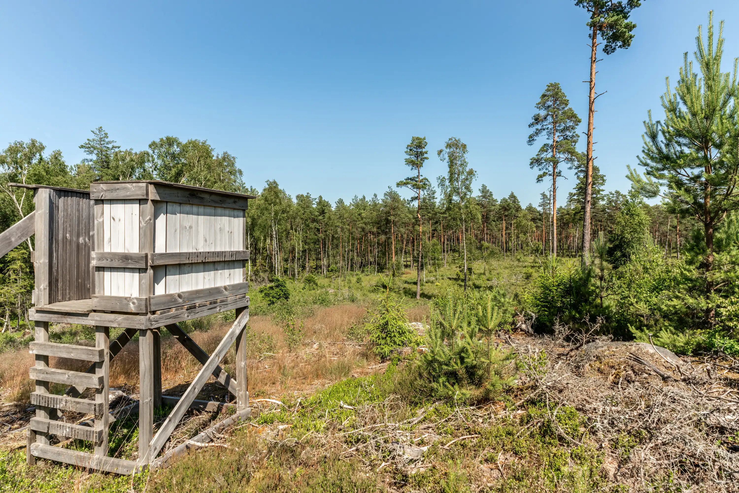 Millebygden30,Älmhult-26062026-10.jpg 24