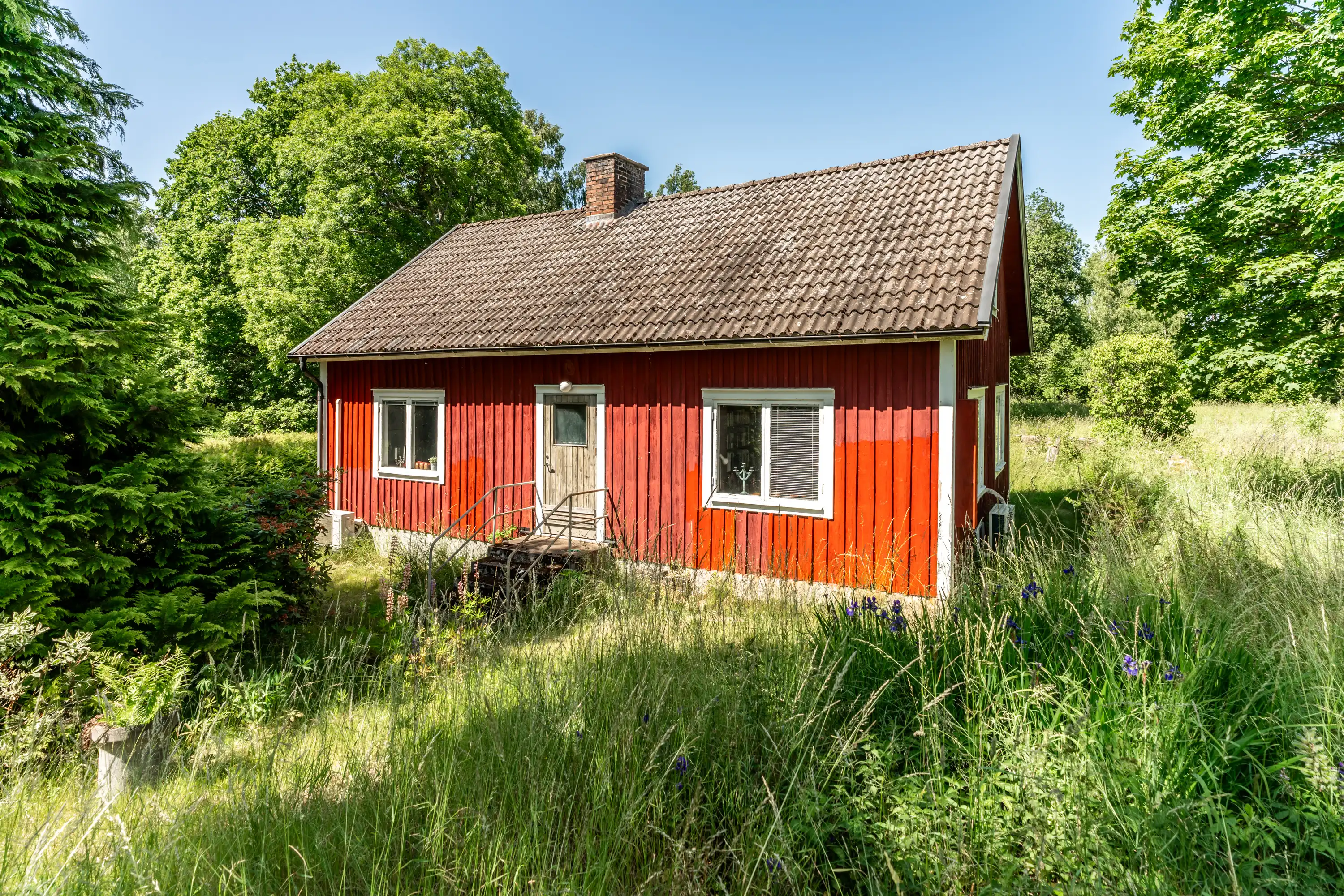 Millebygden30,Älmhult-26062026-3.jpg 4