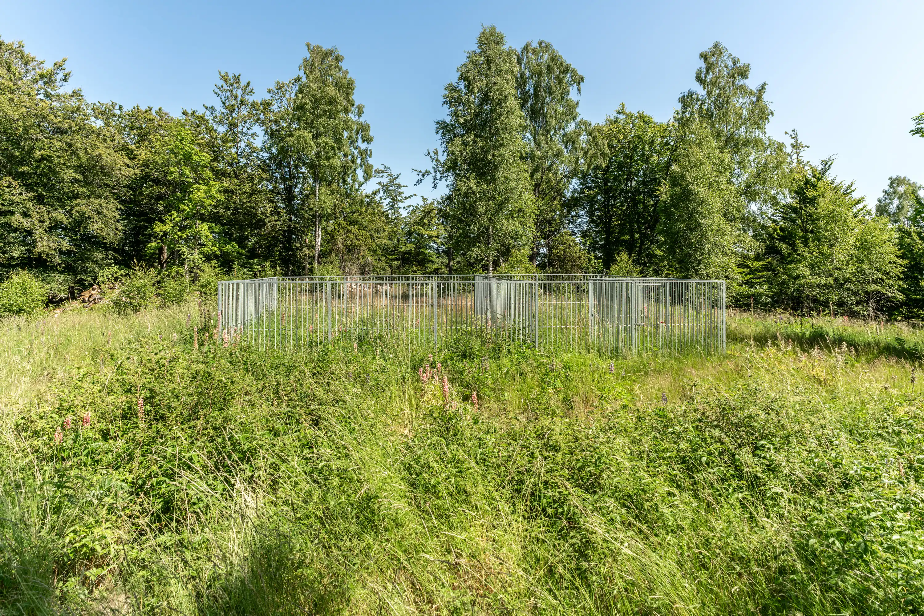 Millebygden30,Älmhult-26062026-2.jpg 1