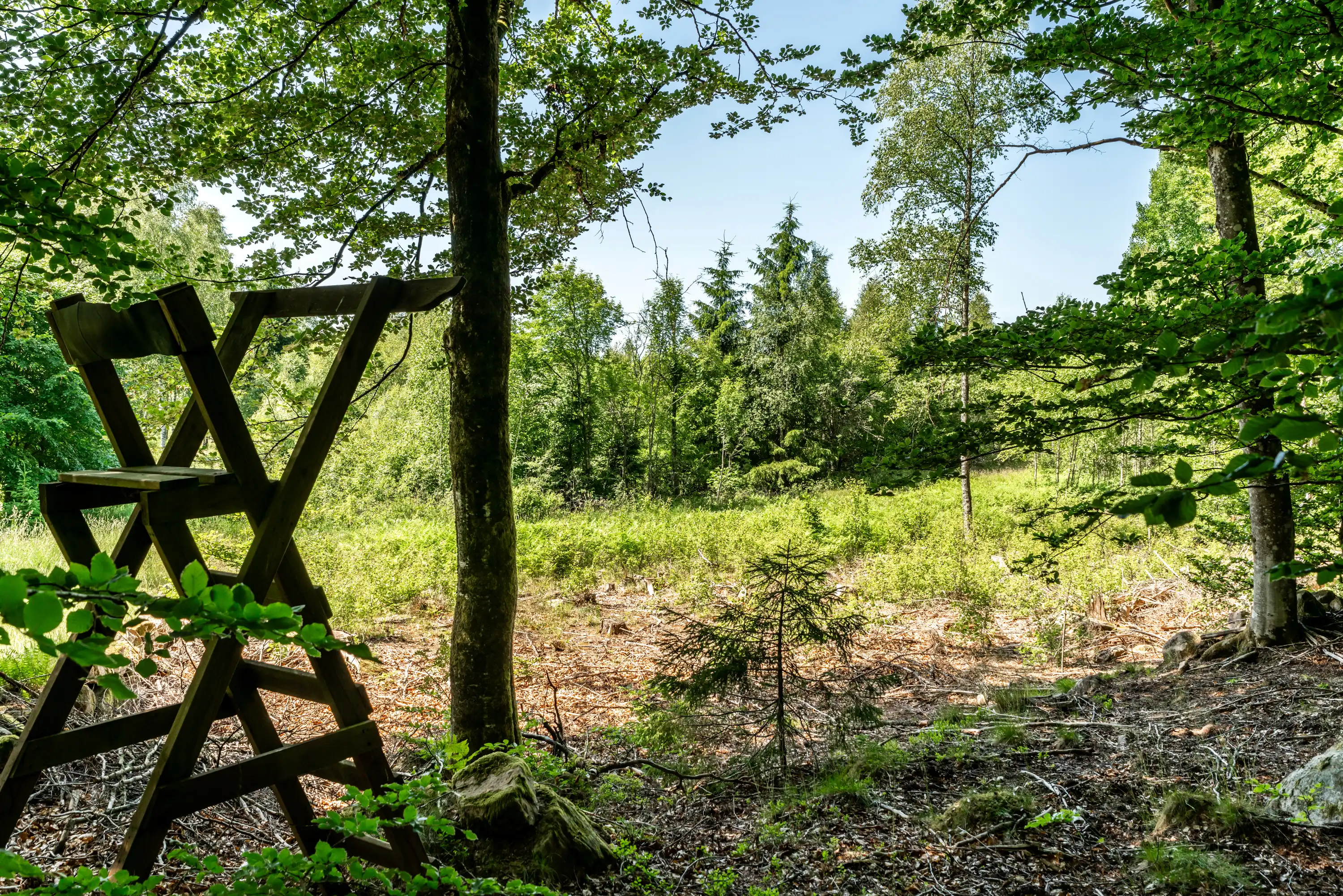 Millebygden30,Älmhult-26062026-5.jpg 6