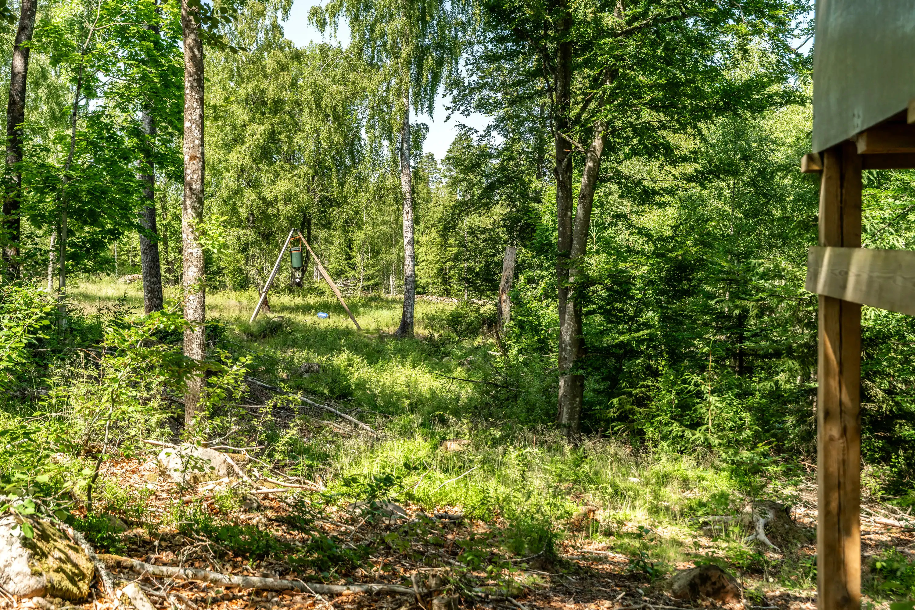 Millebygden30,Älmhult-26062026-7.jpg 25