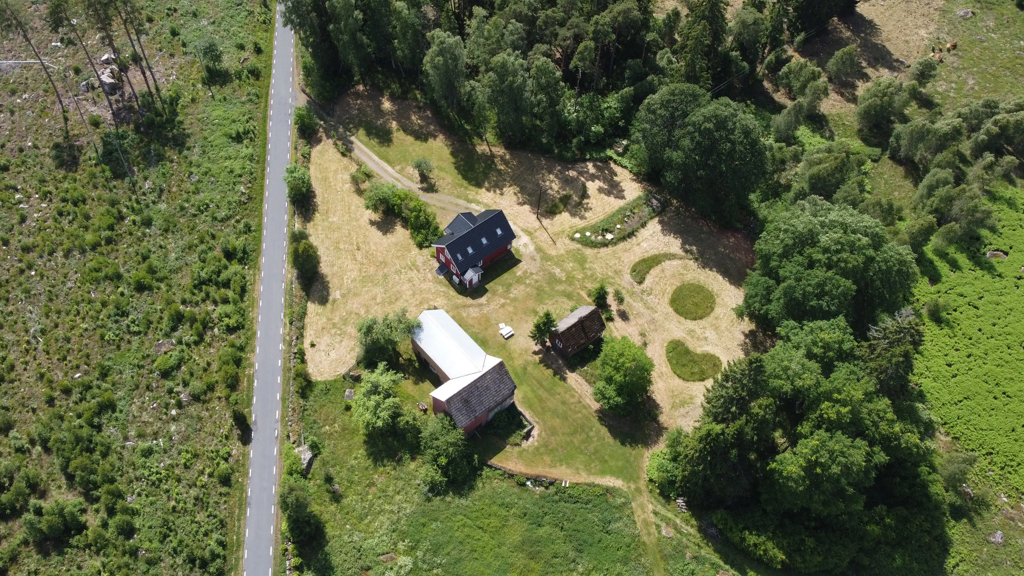 Drone 1.JPG 30