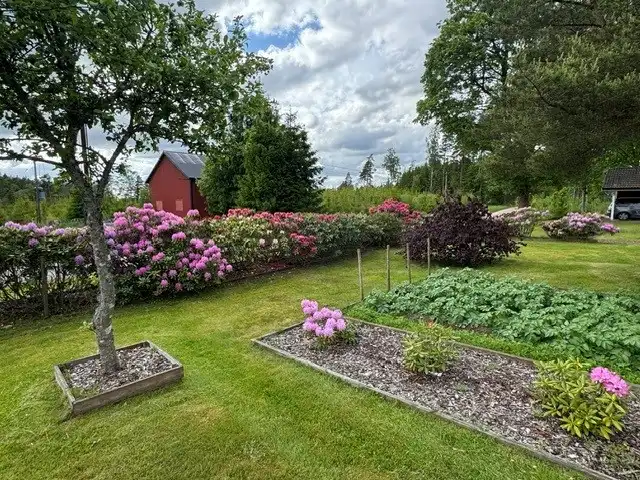 mjäryd1.jpg 57